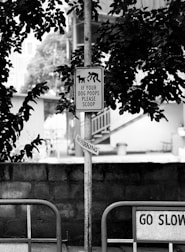 Sign reminds dog owners to scoop poop