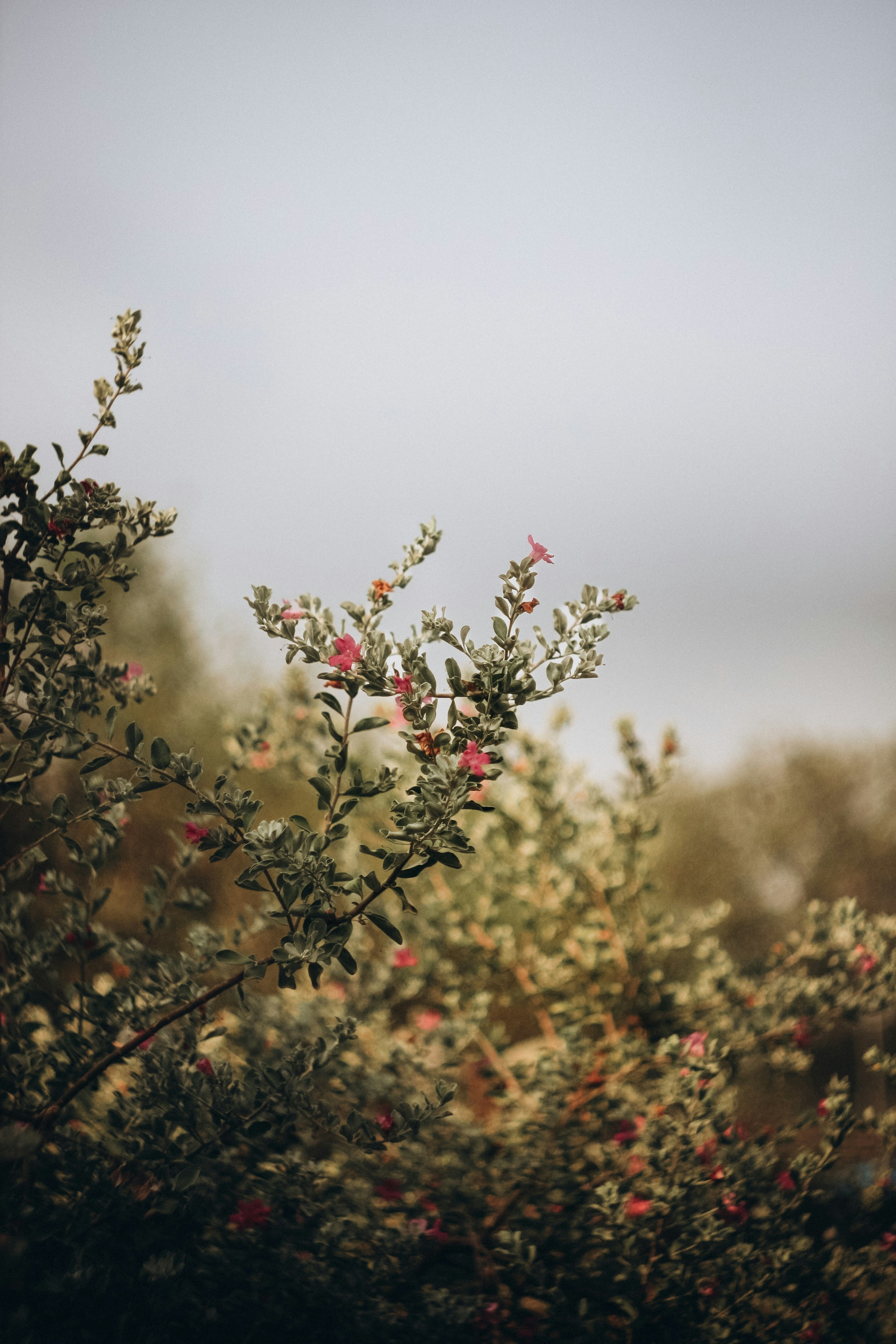 Photo by impermanent