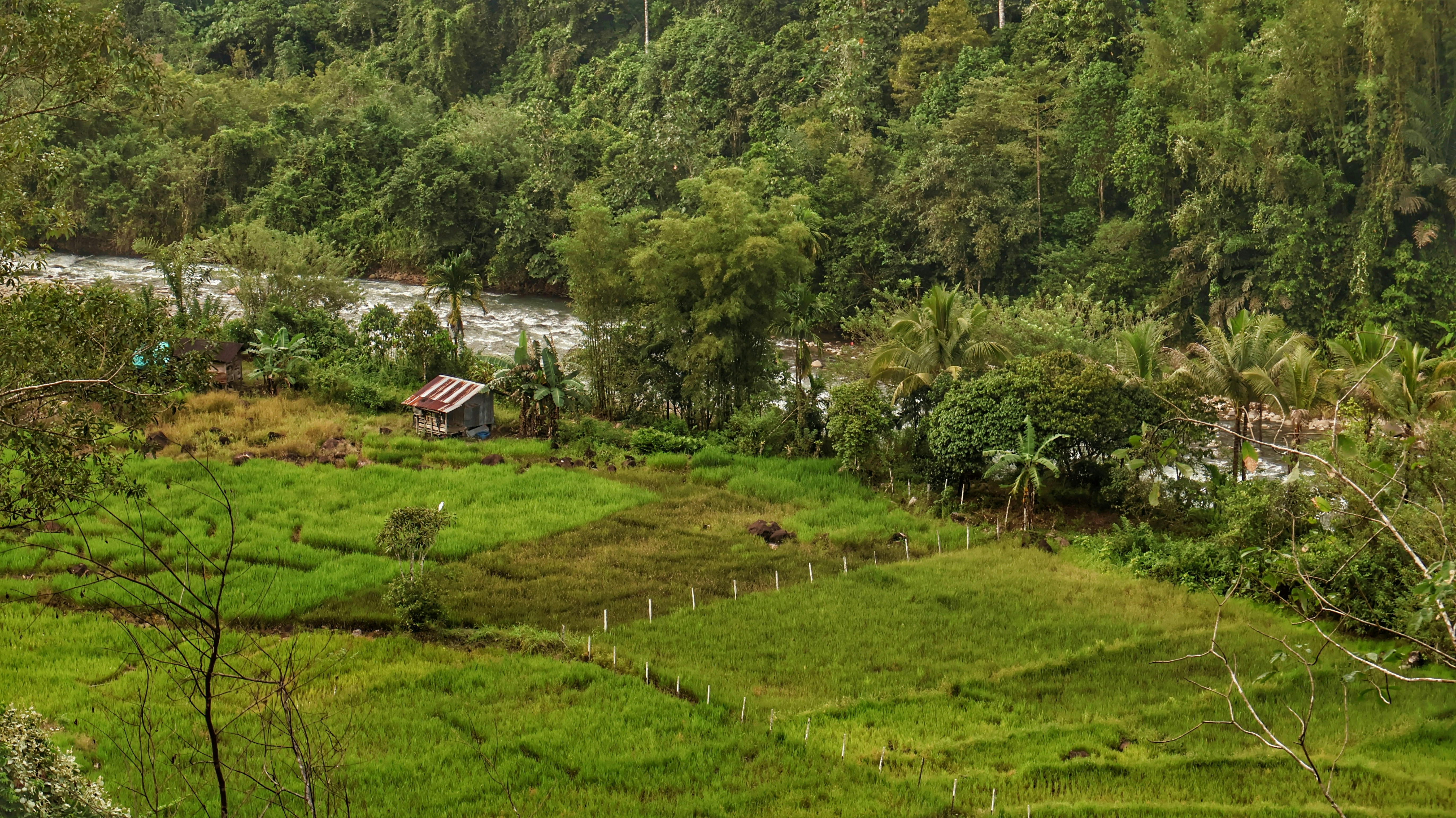 Photo by bywindahlimbai