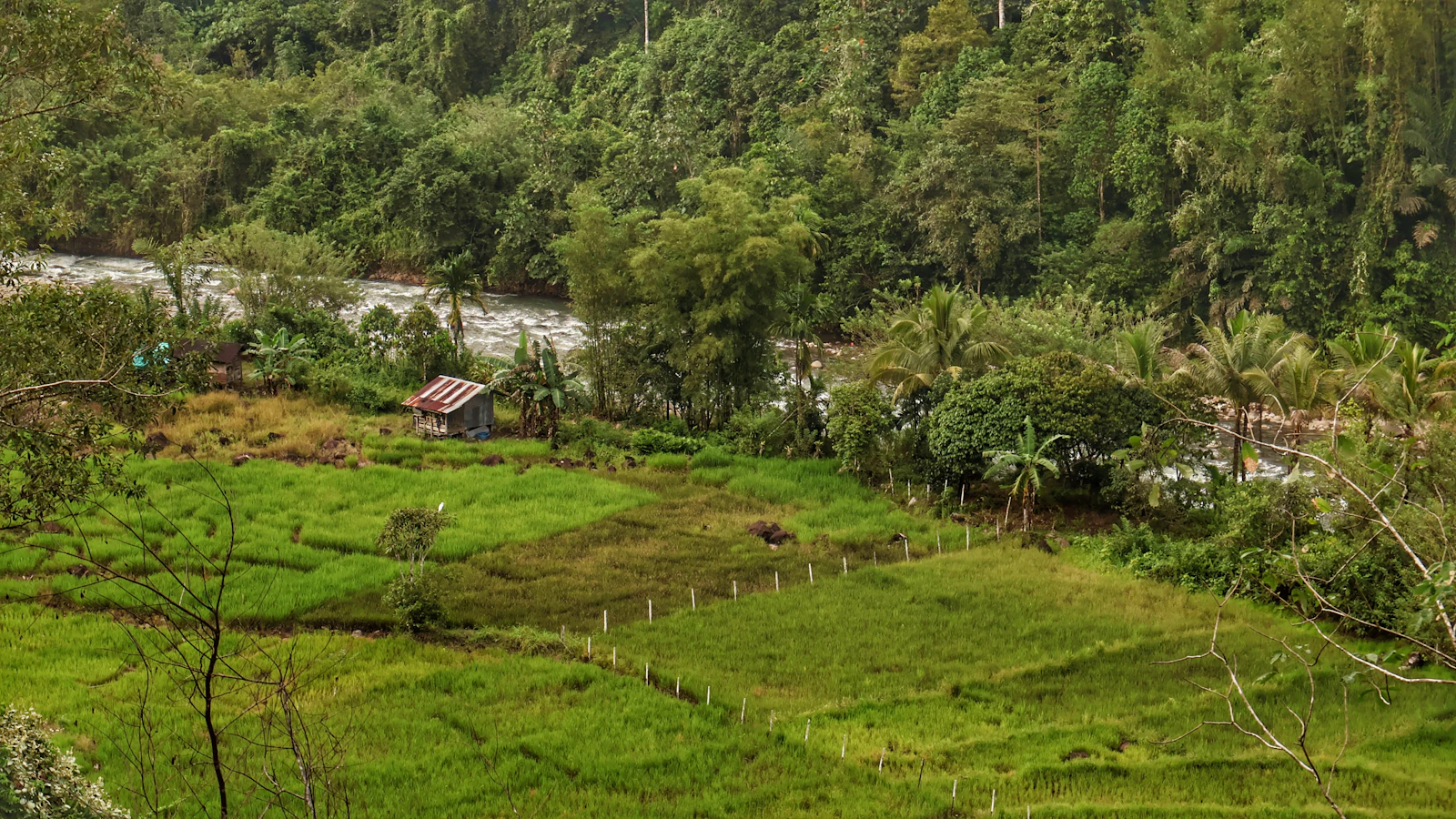 Mandapa, a Ritz-Carlton Reserve Named Among the World's 50 Best Hotels