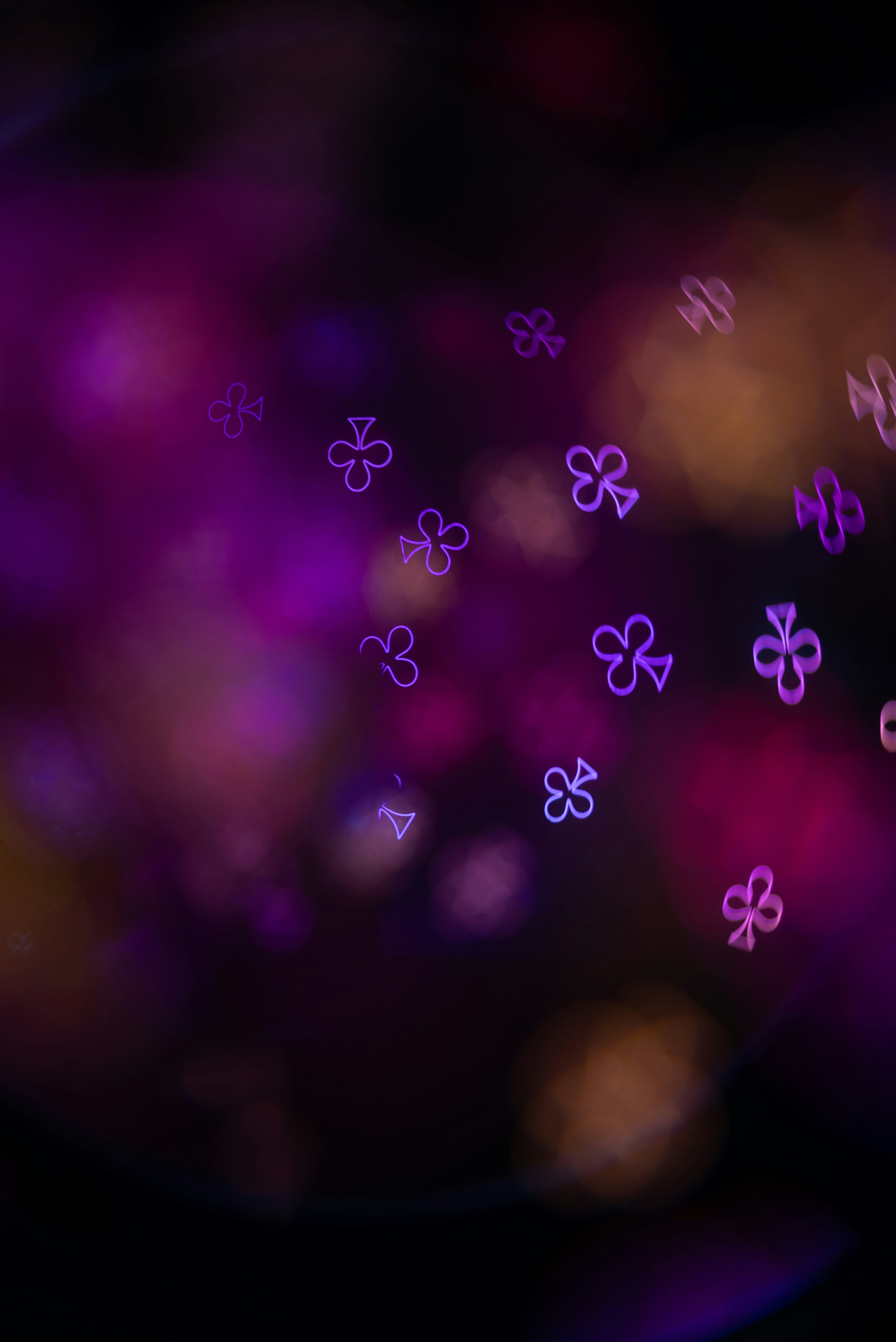 Cartão de Visita Couché Fosco - Imagem 2