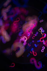 Abstract infinity symbols in neon pink and blue lights.