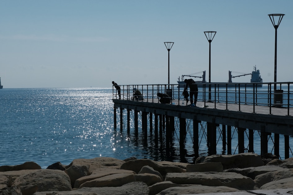 Beginner tackle box essentials — helpful reference illustration