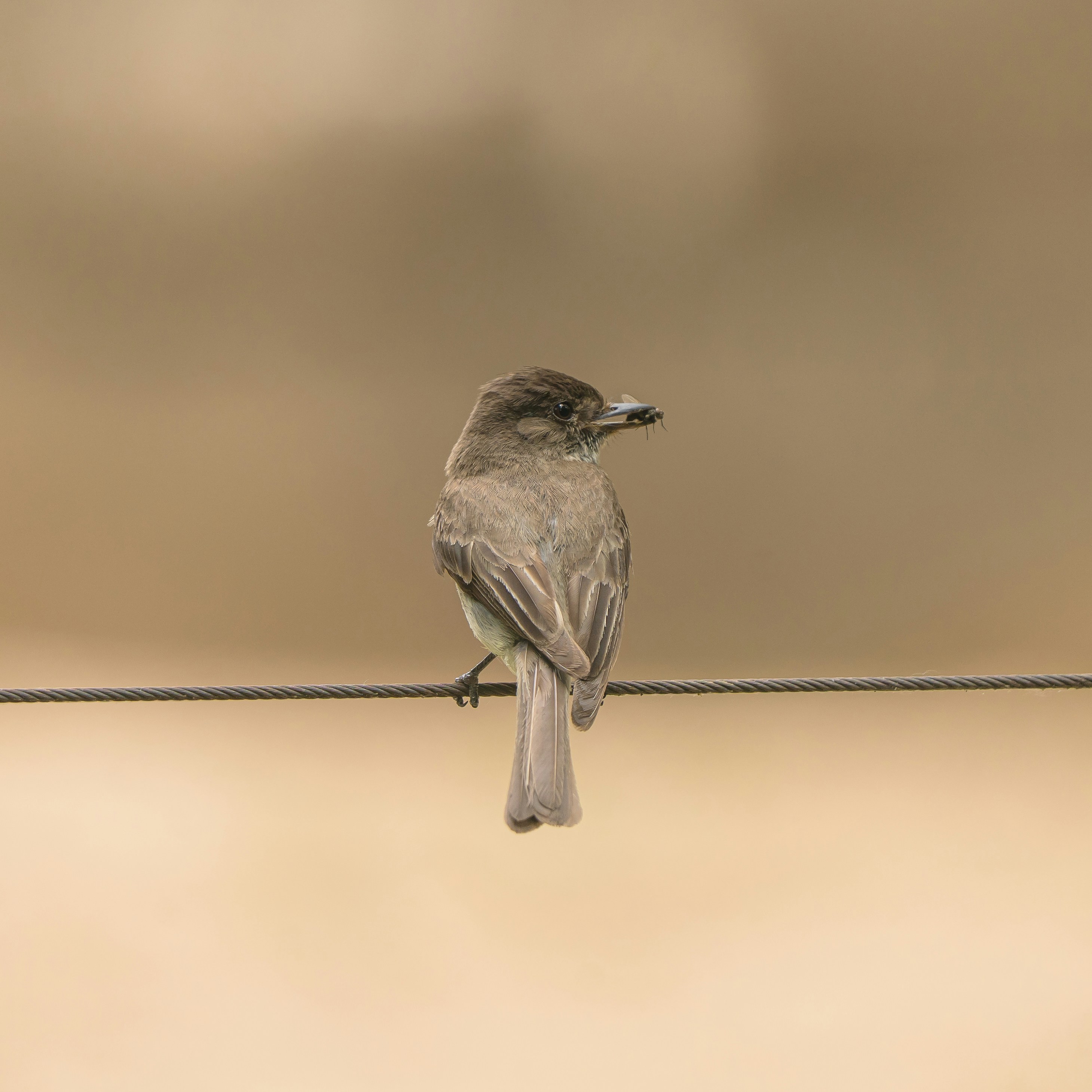 Photo by palmourphotography