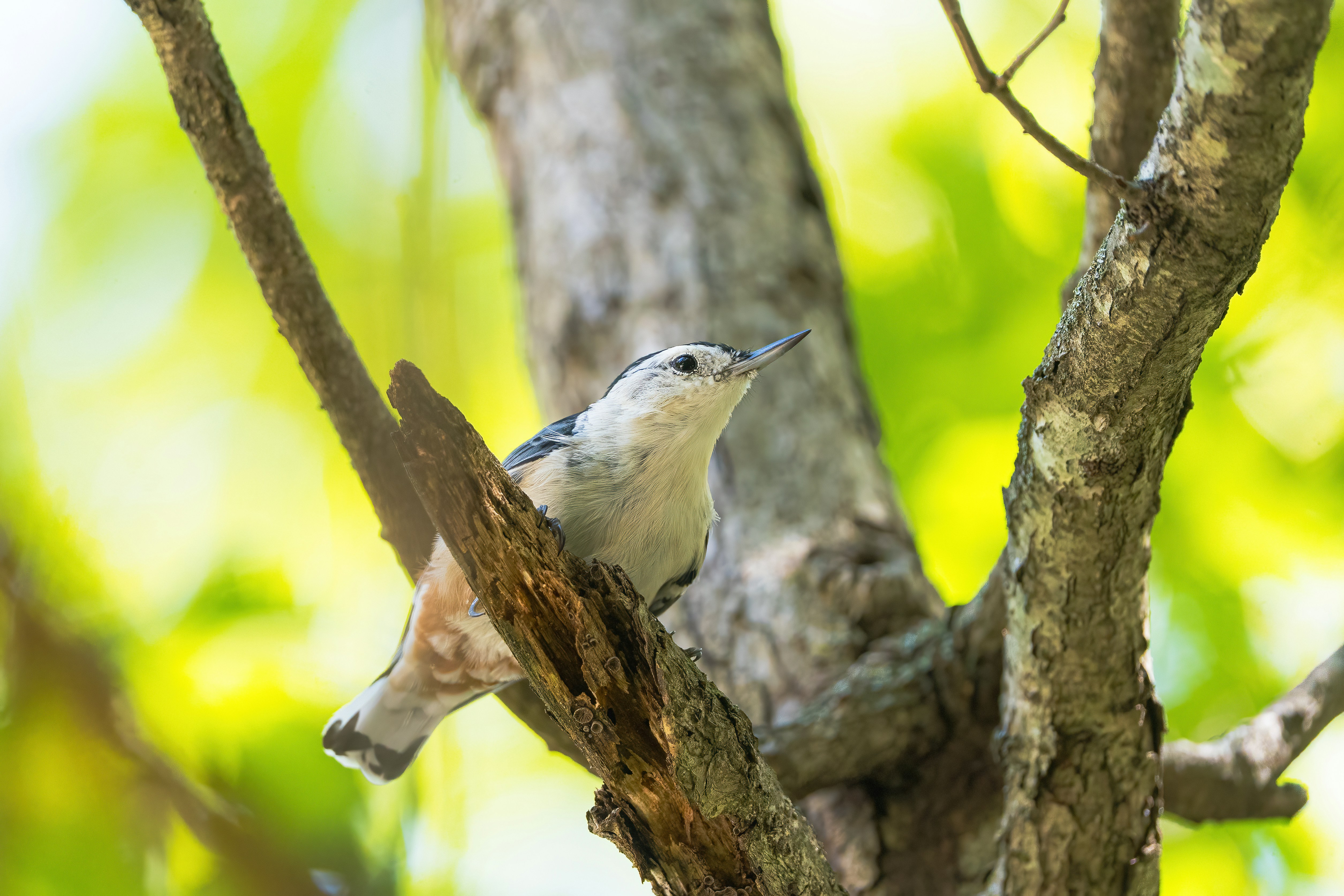 Photo by palmourphotography