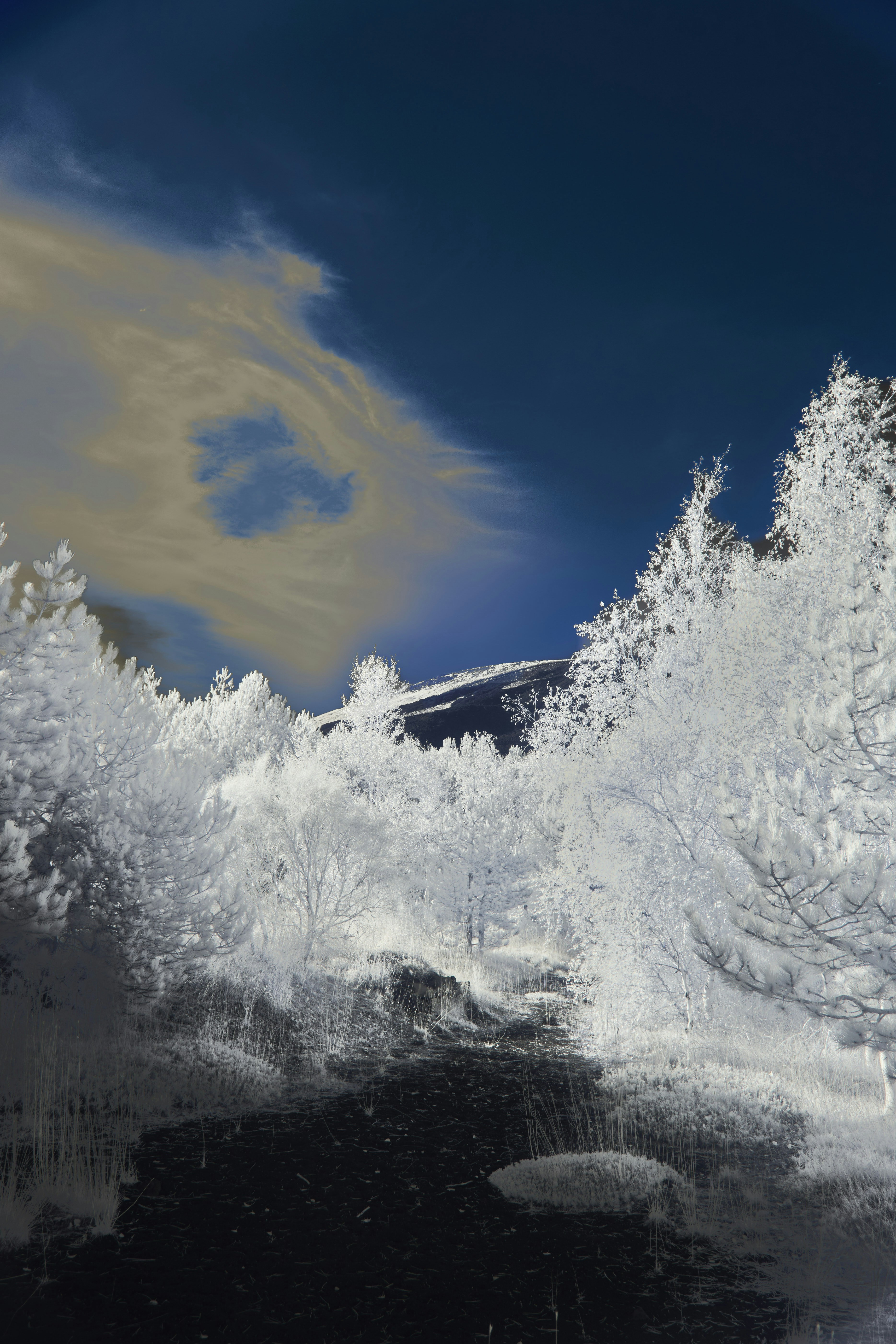 Photo by wolfgang_hasselmann