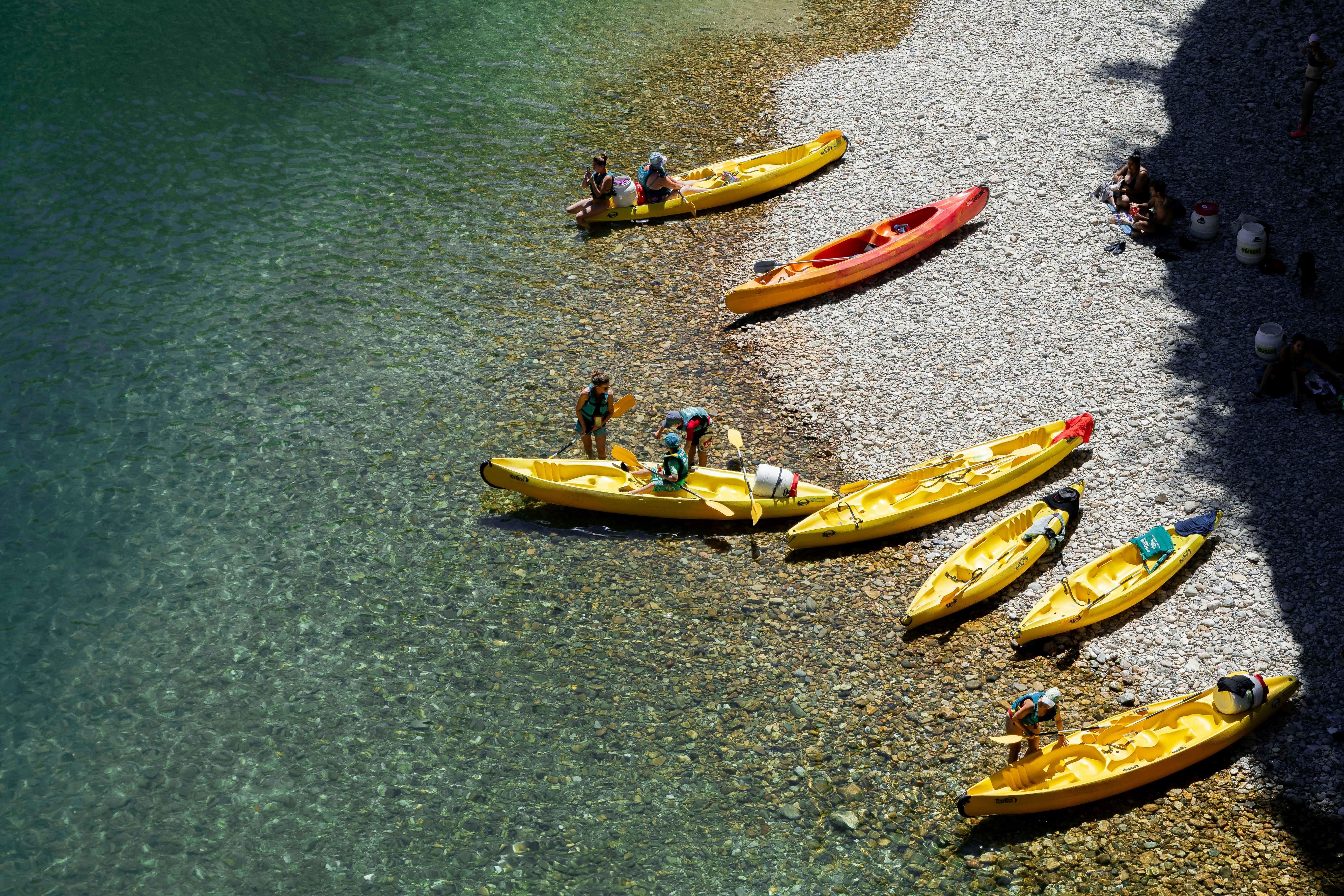 Business economics and financial success