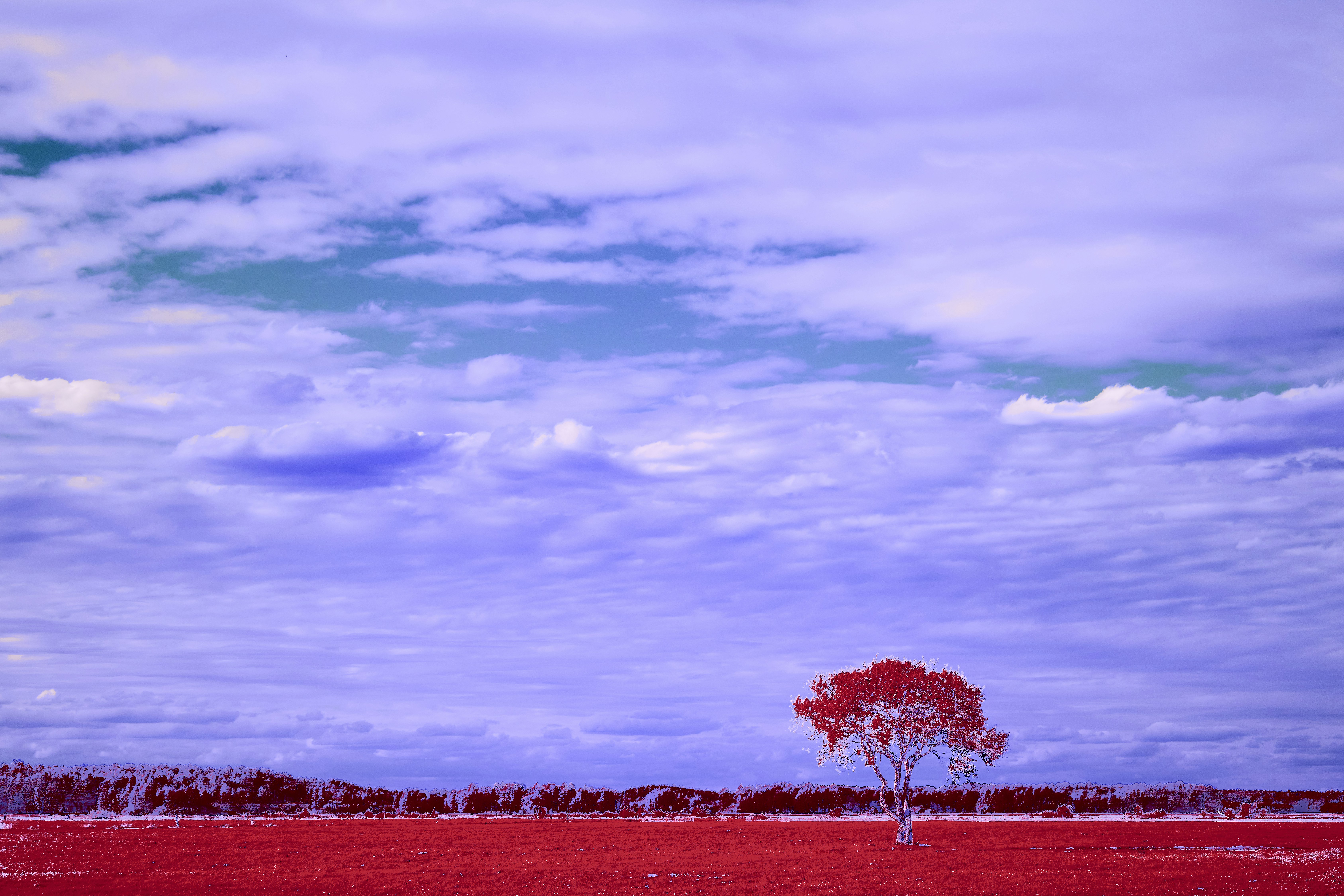 Photo by wolfgang_hasselmann