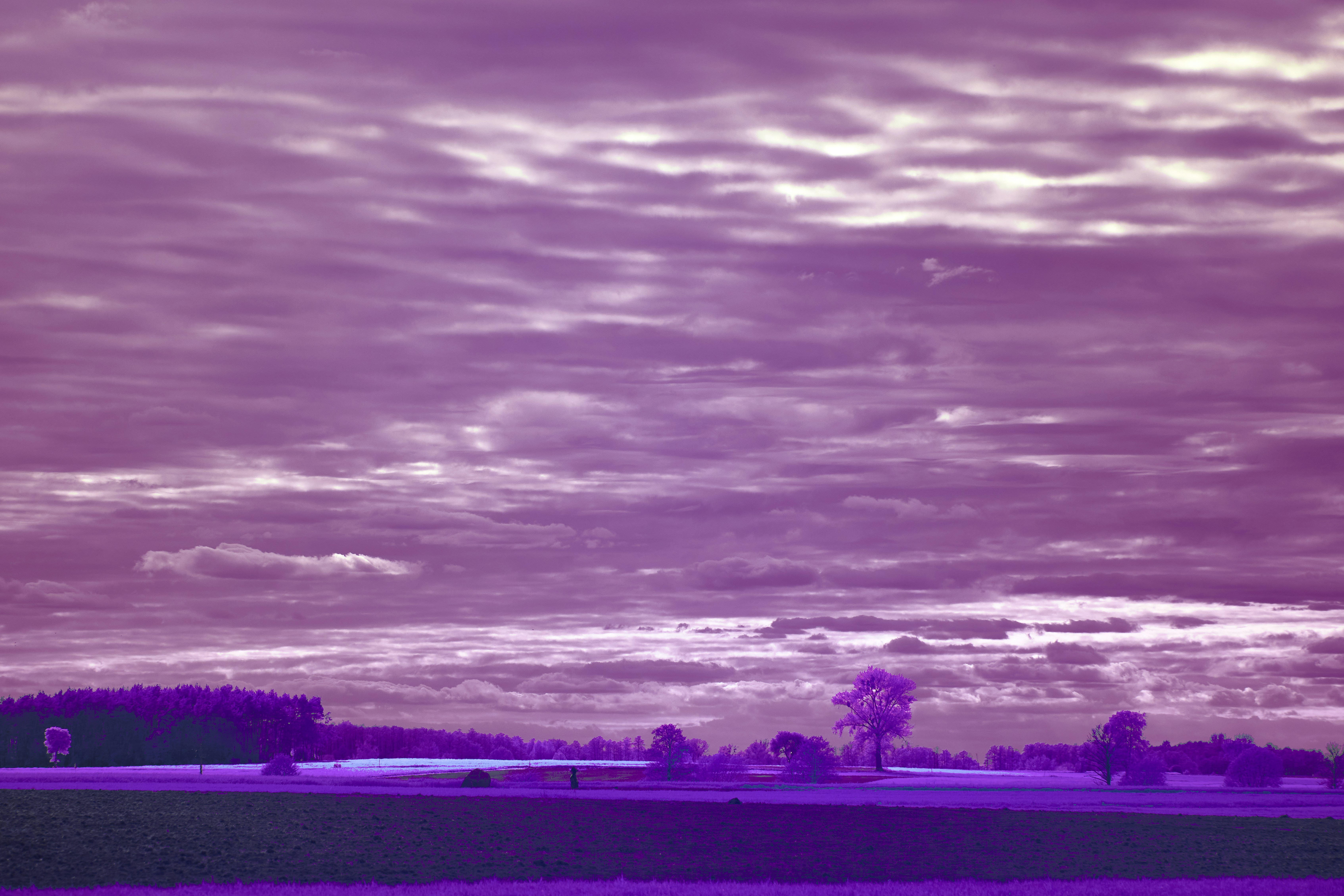 Purple sky with dramatic clouds over landscape