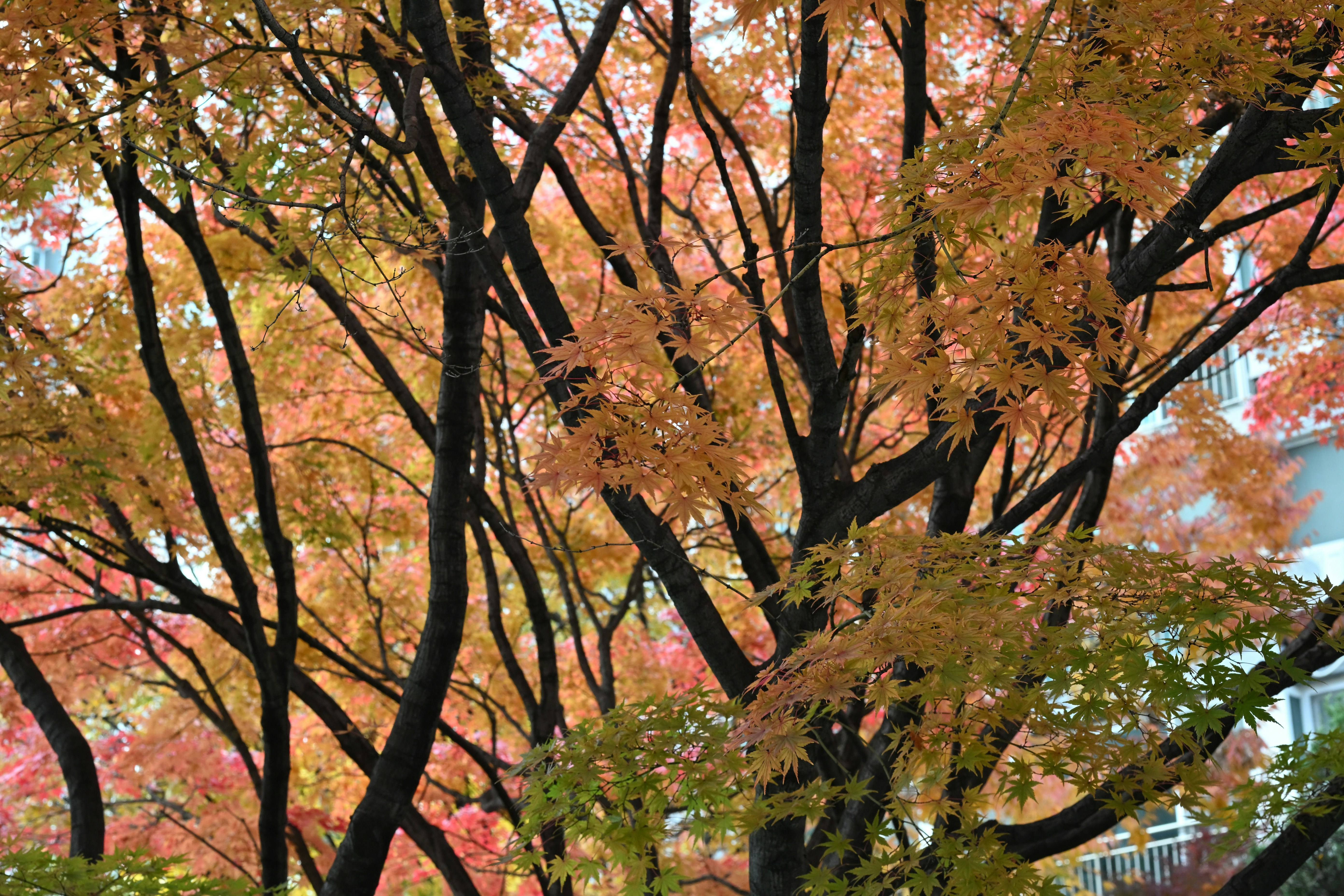 Harvest-Hued Makeup: Celebrating Autumn Colors in Your Makeup Bag