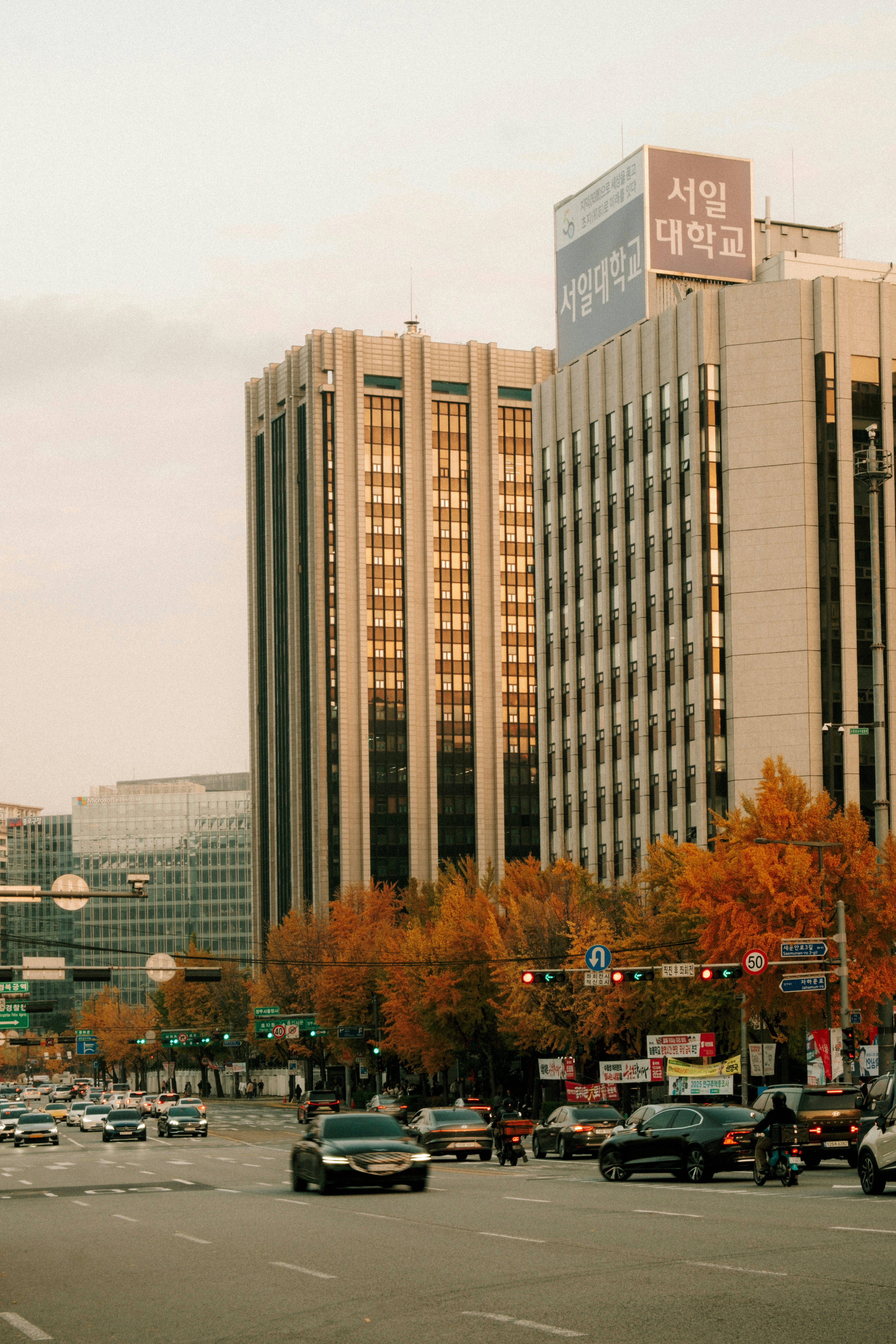 Getting There and Moving Around