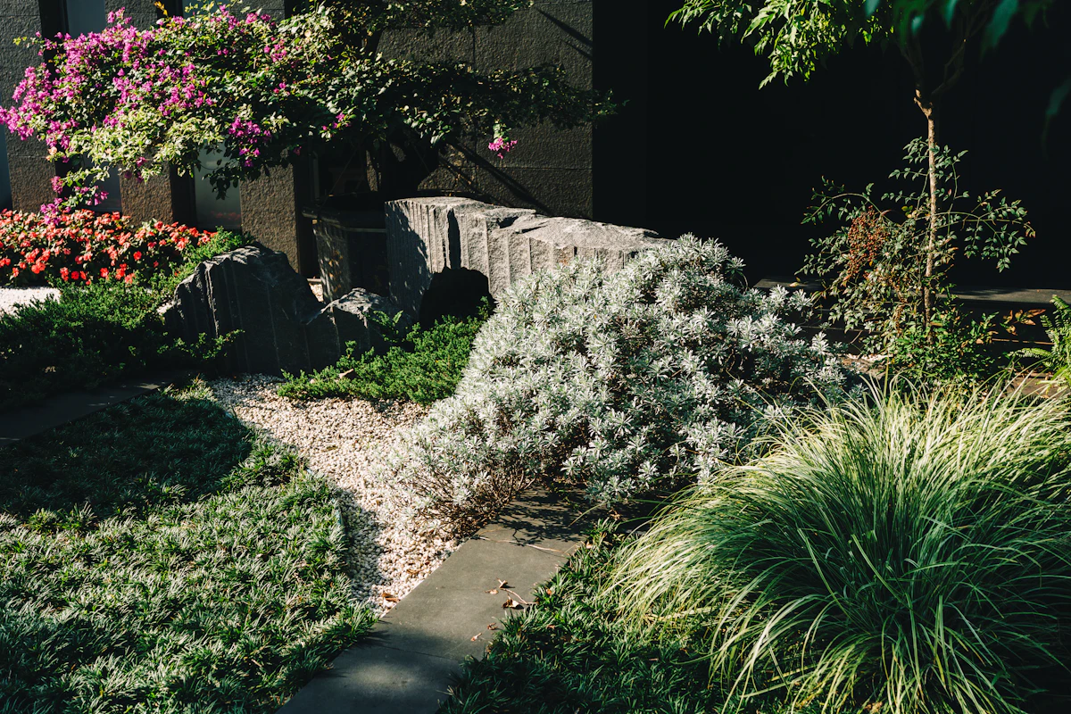 Silver and green plantings along a stone path at dusk