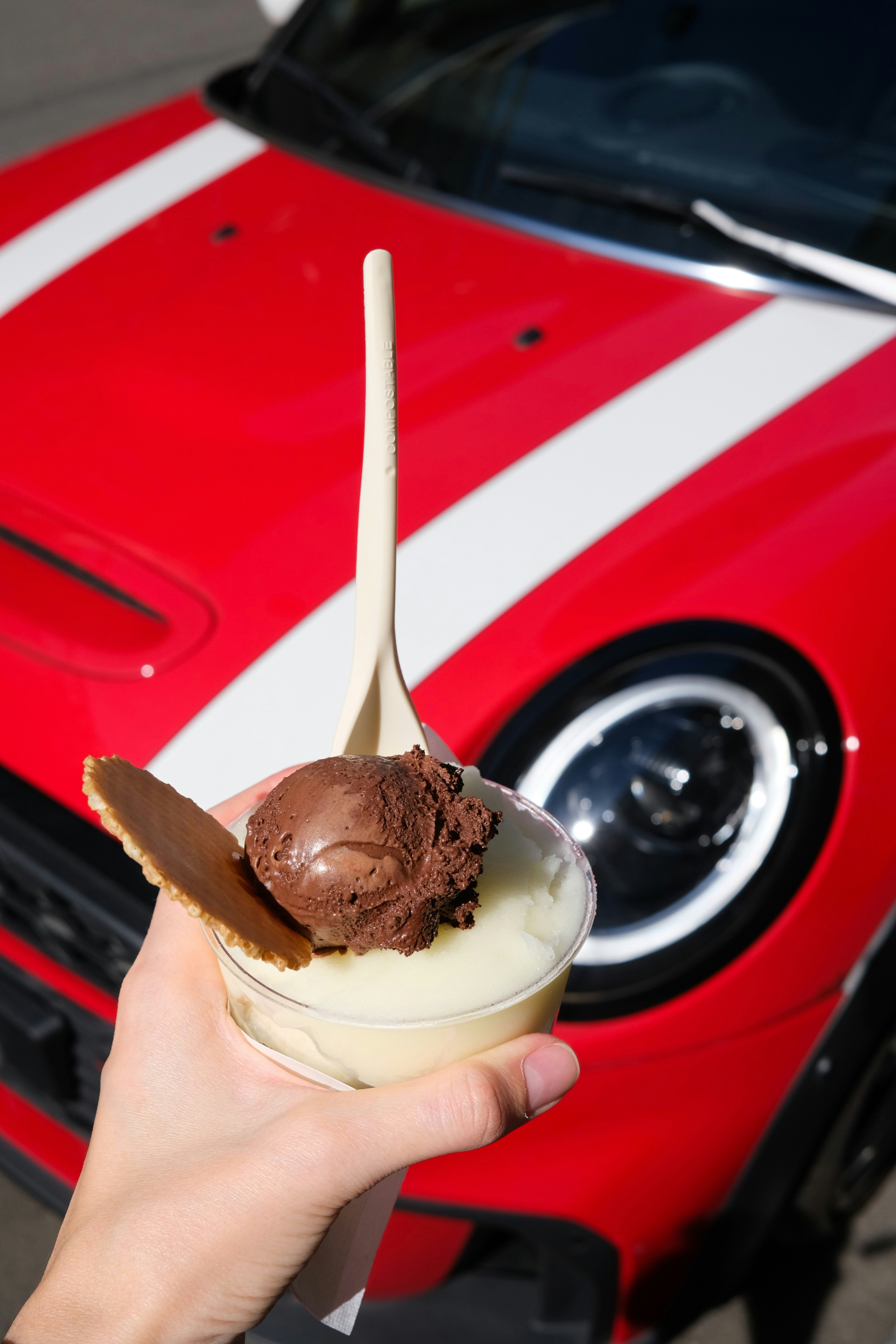 Hand holding a chocolate and vanilla ice cream dessert.