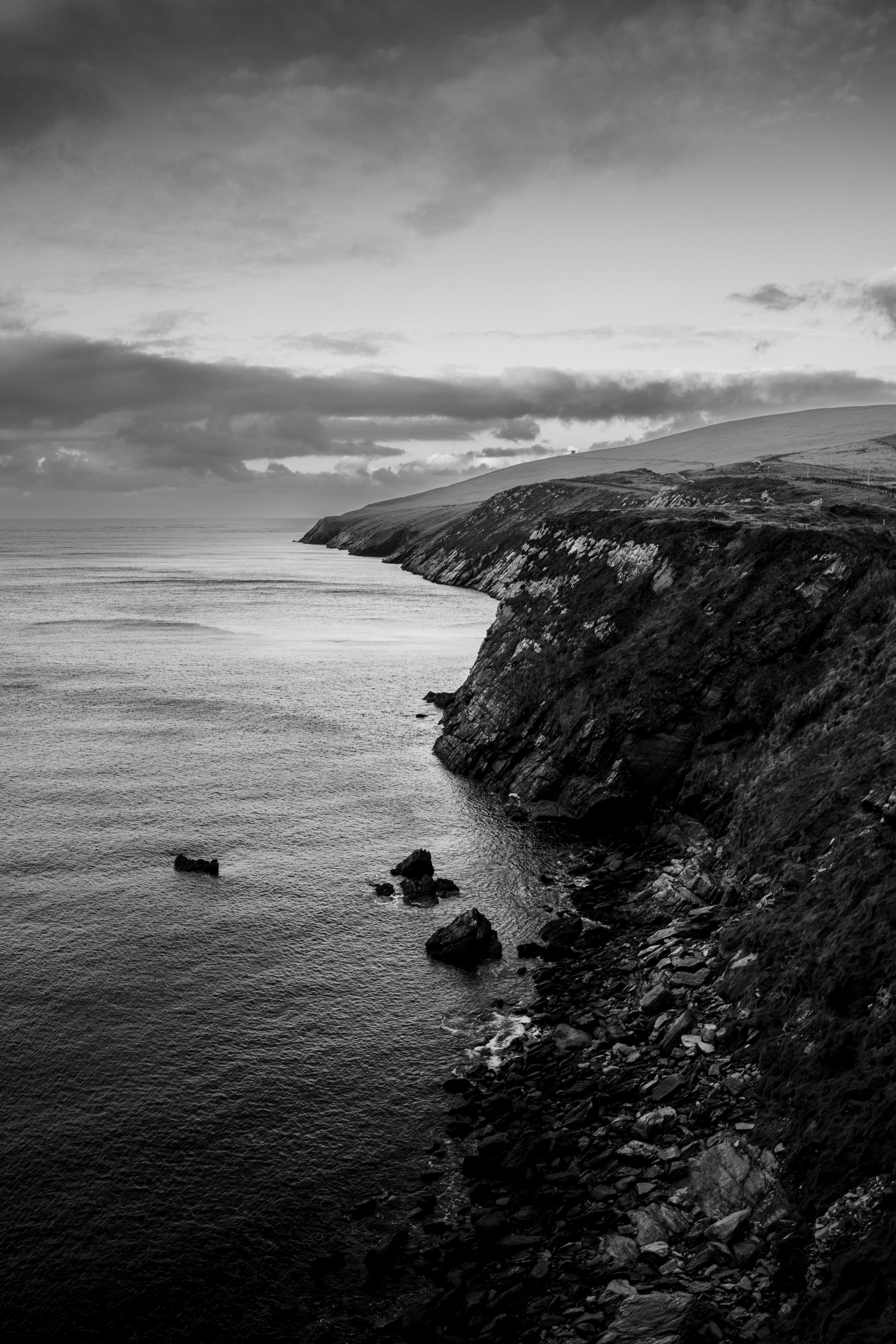 Photo by raulling