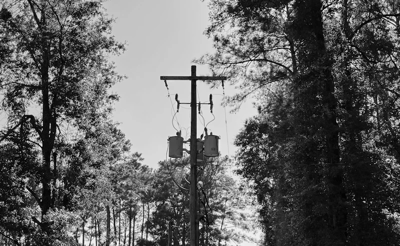 Right-of-way vegetation