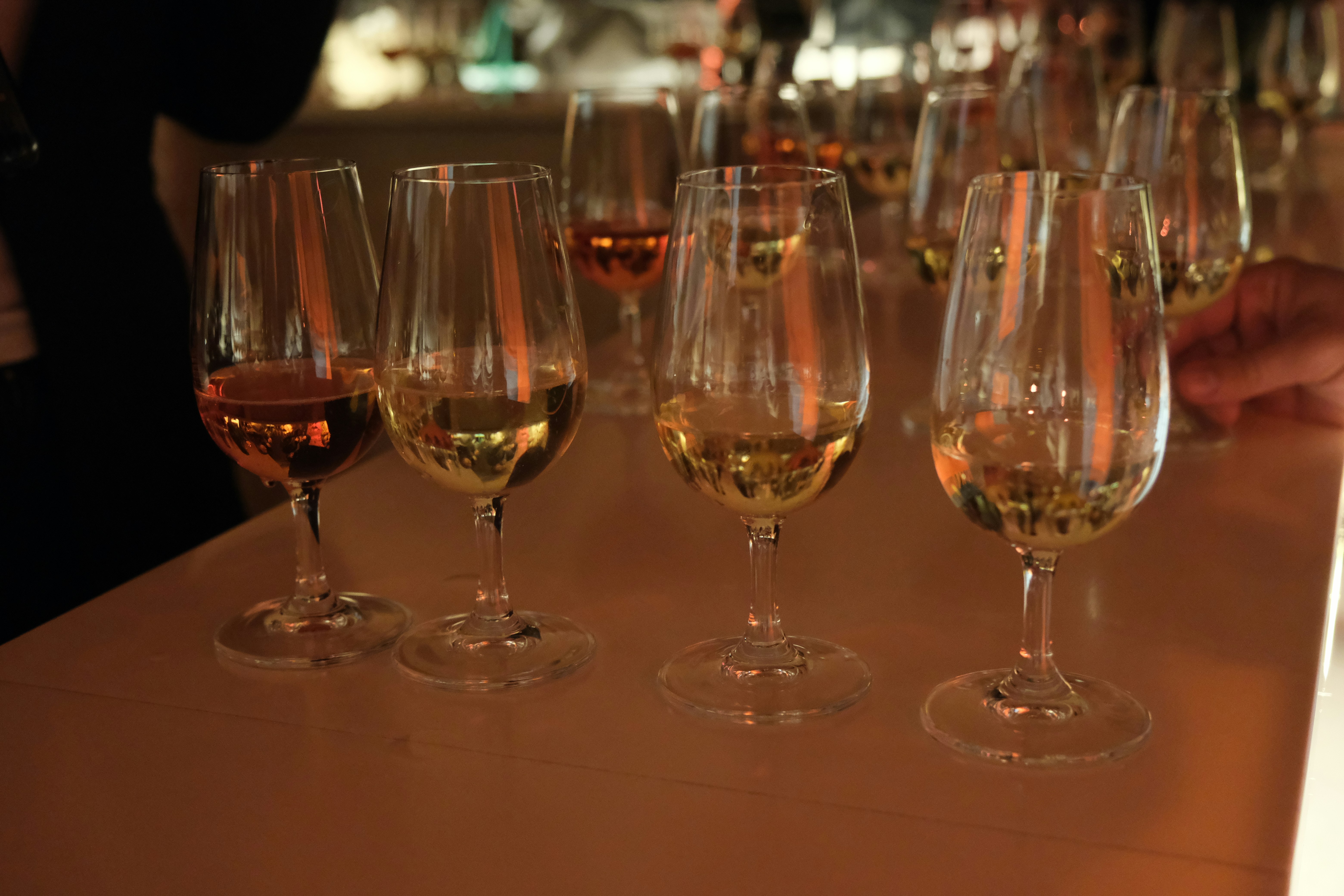 Champagne tasting in caves