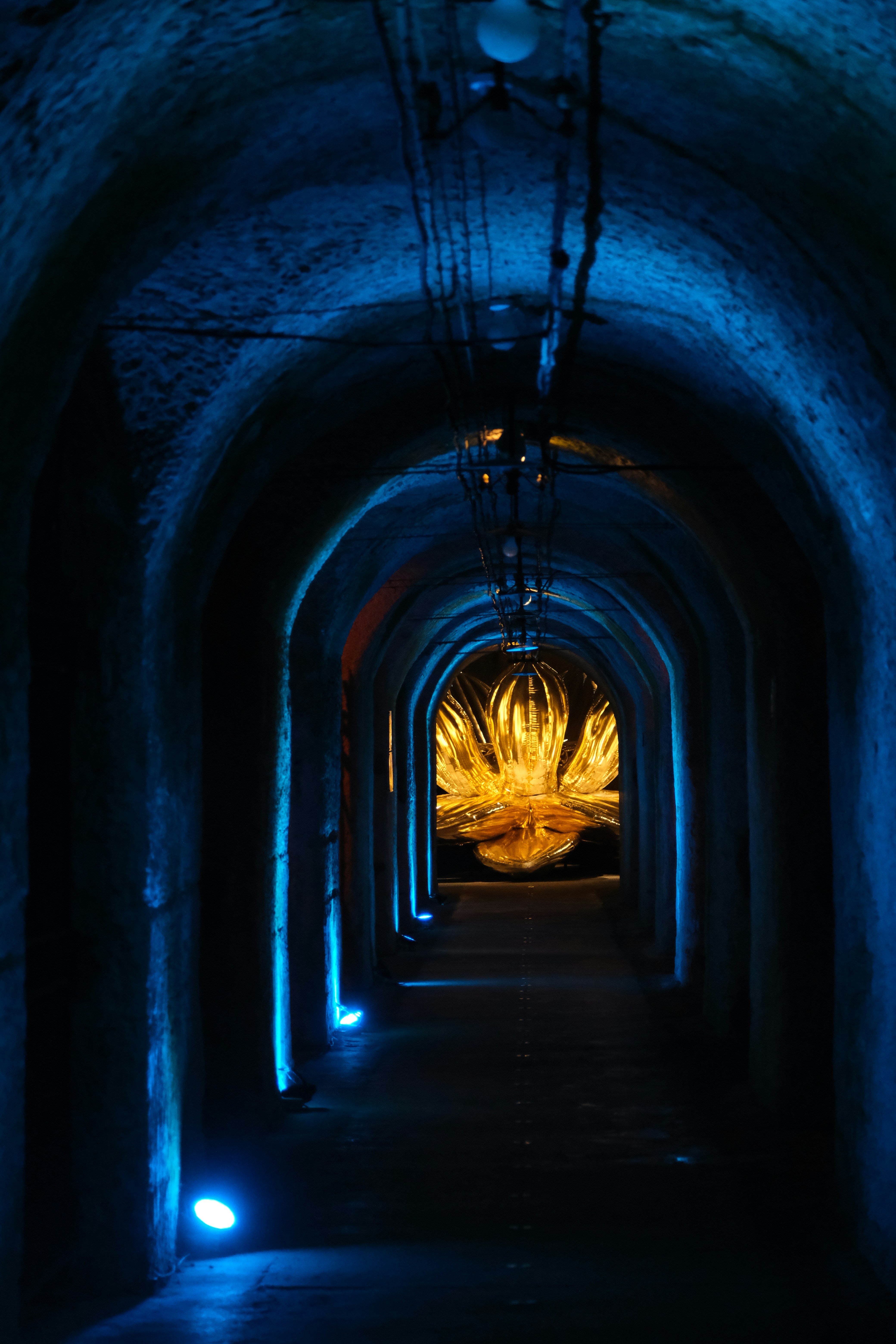 Dunkler gewölbter Korridor, der von blauem Licht beleuchtet wird