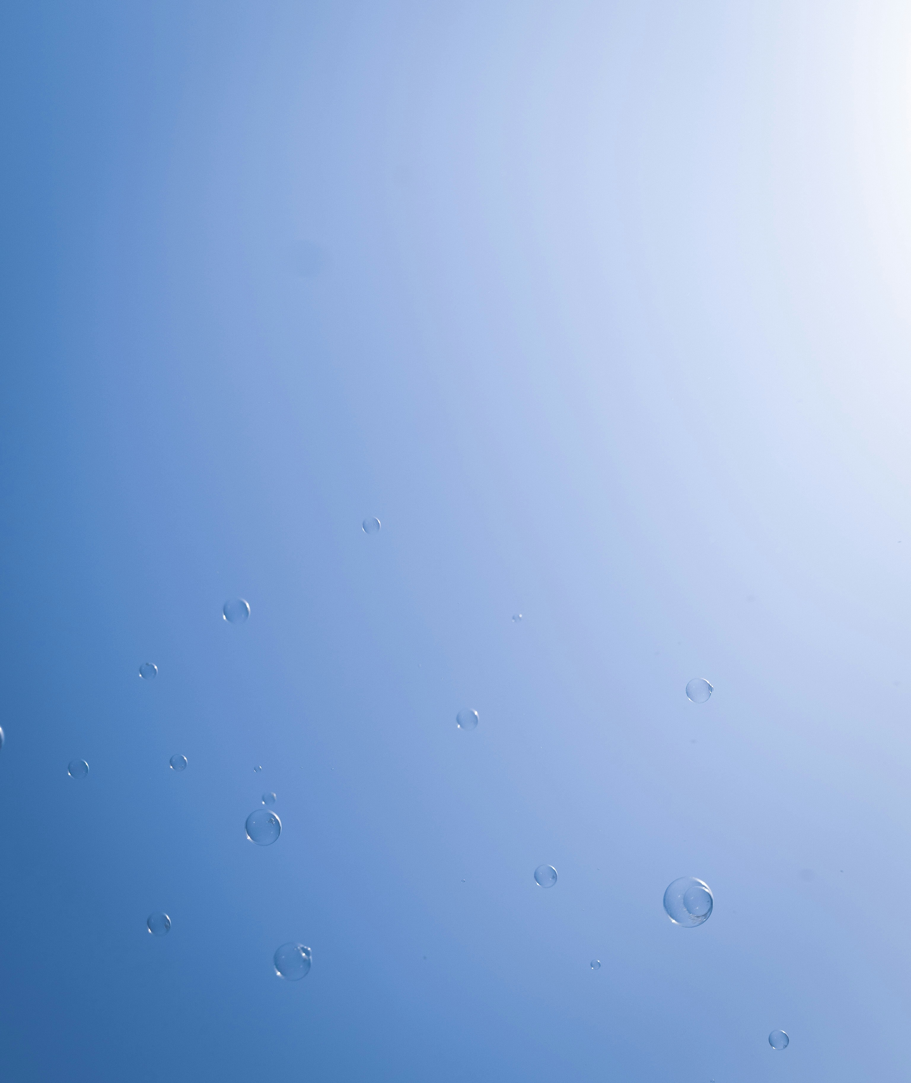 Photo by luanfonsecavisuals