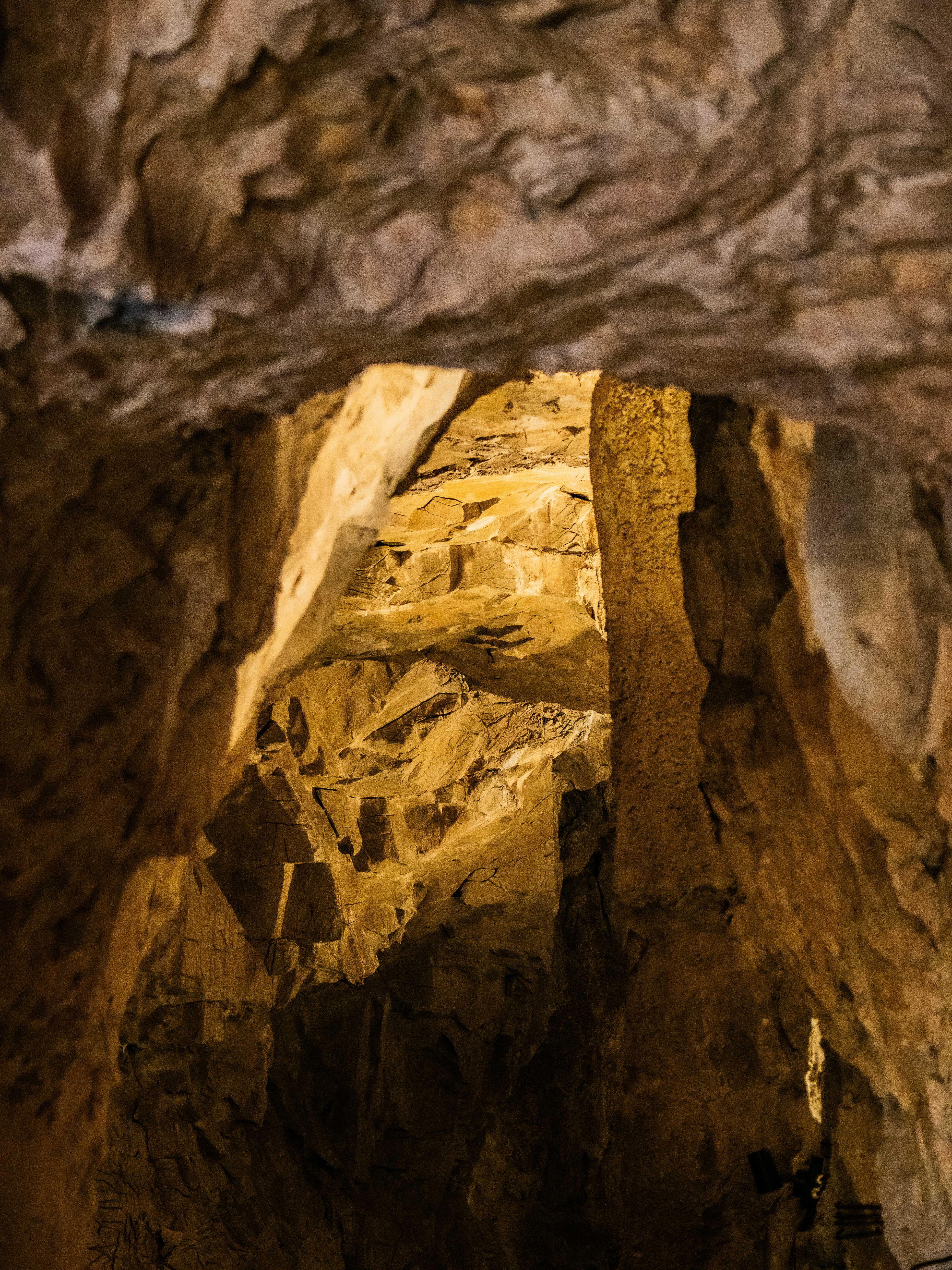 Photo by gopitri_prem