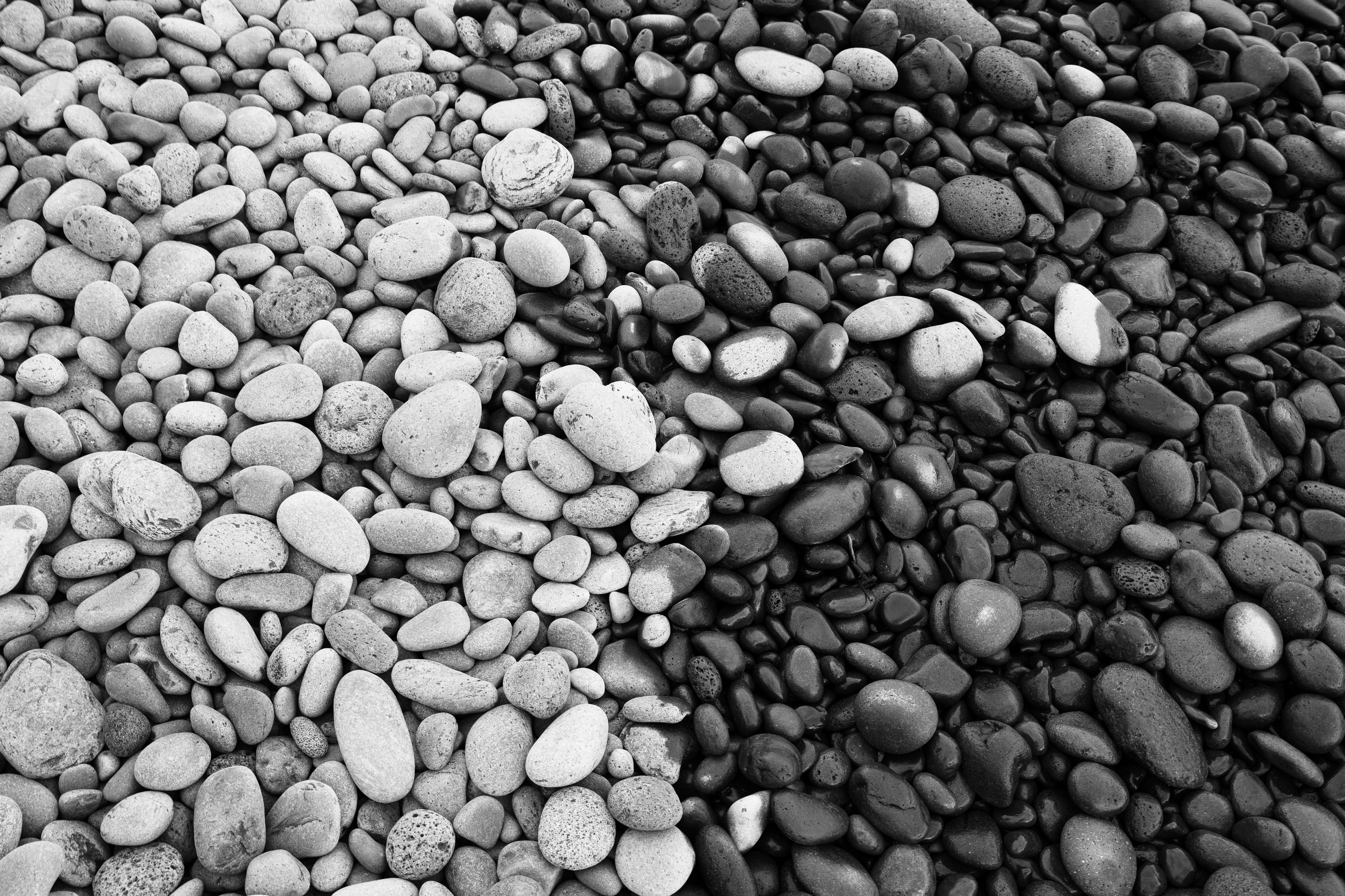 Photo by johnny_slav