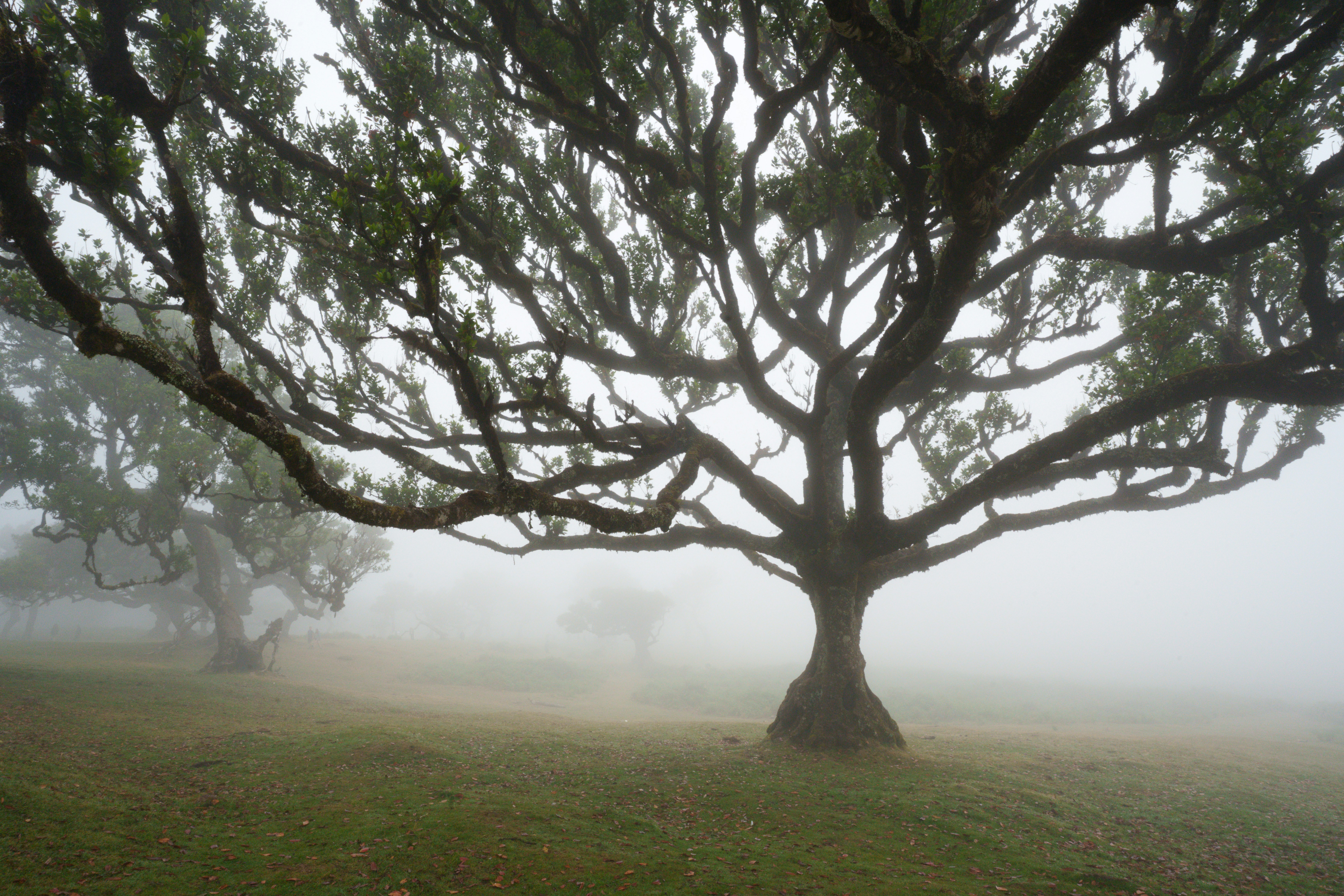 Photo by johnny_slav