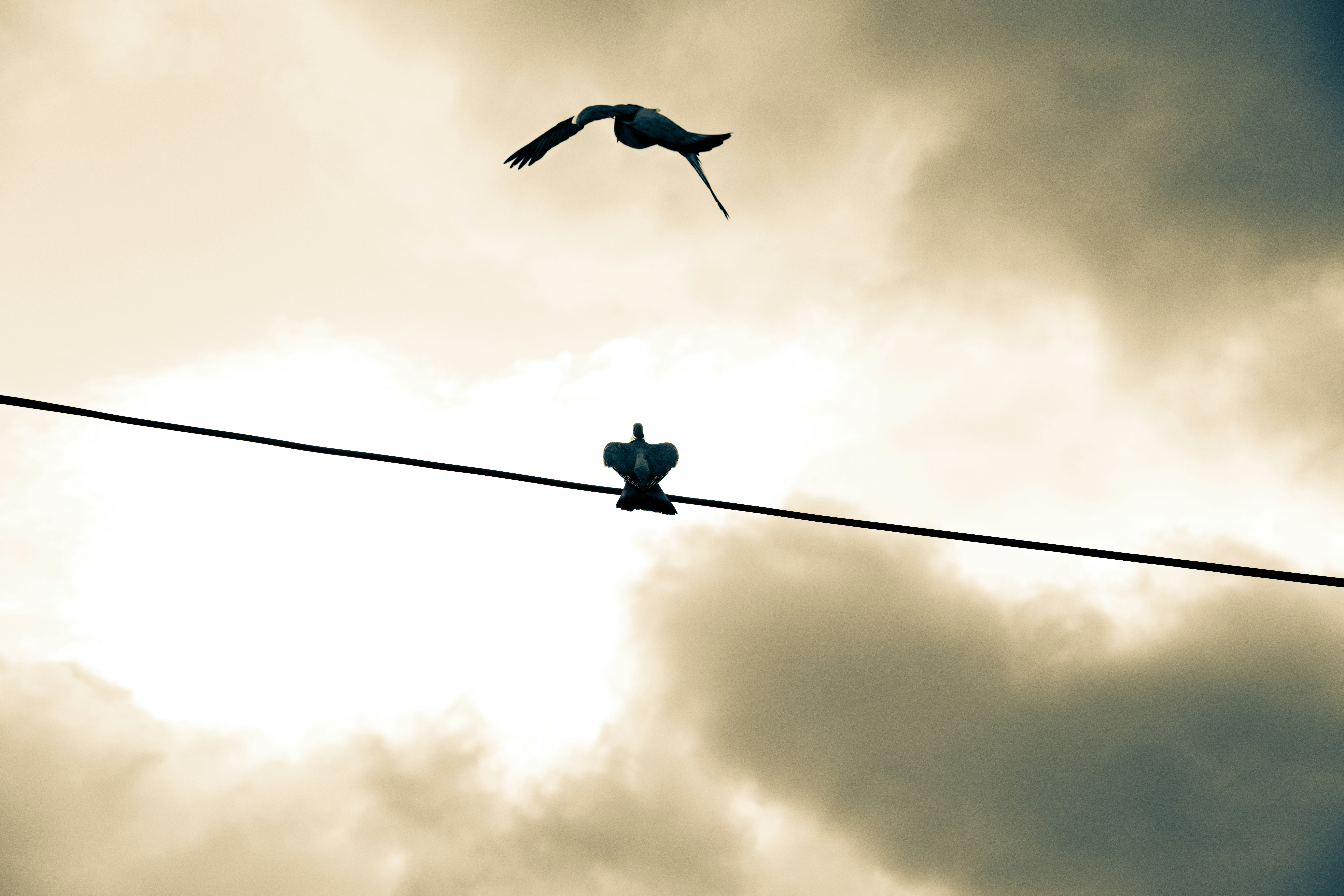 Two birds on a wire against cloudy sky