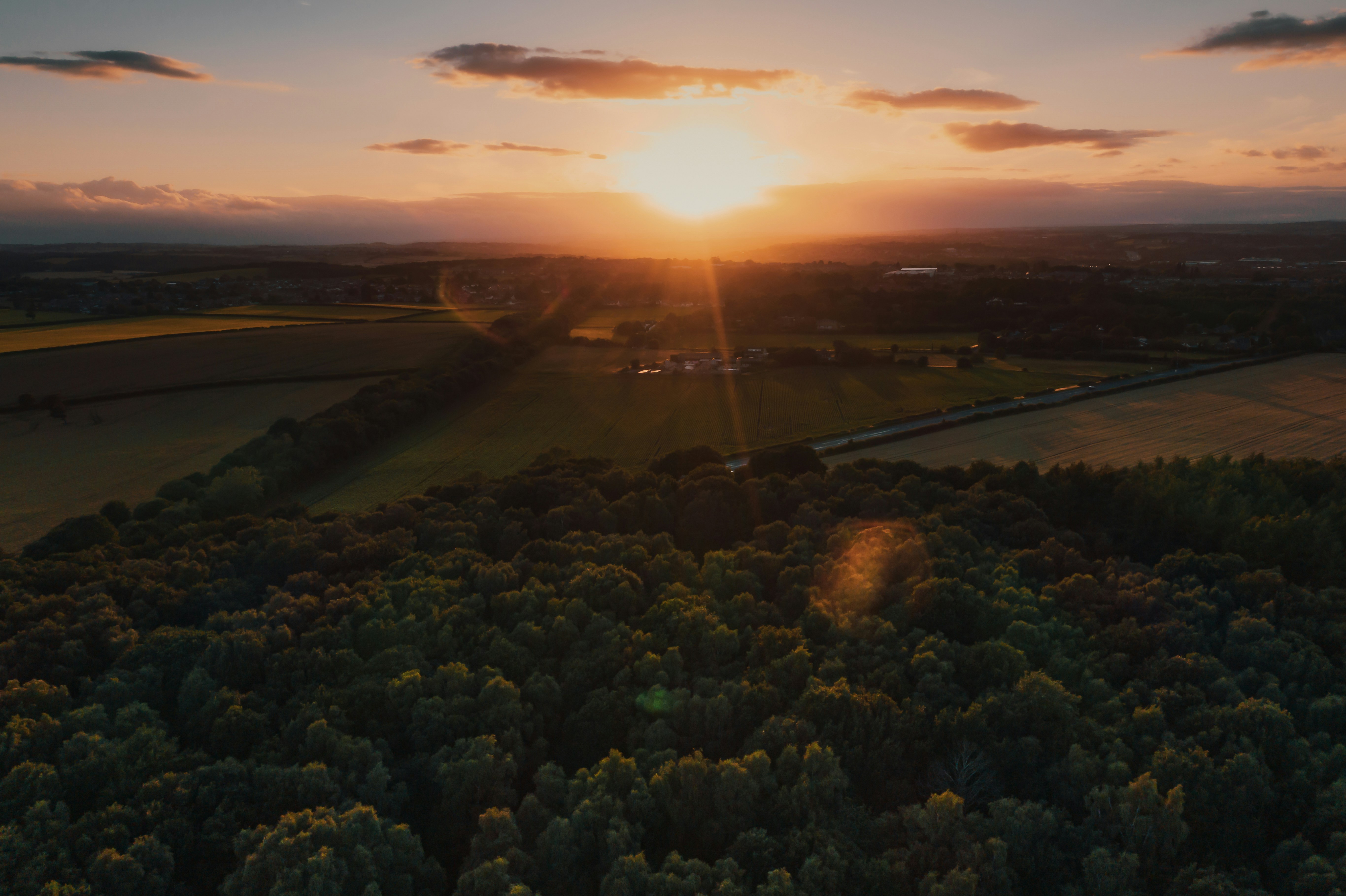 Sunset over a forest and fields