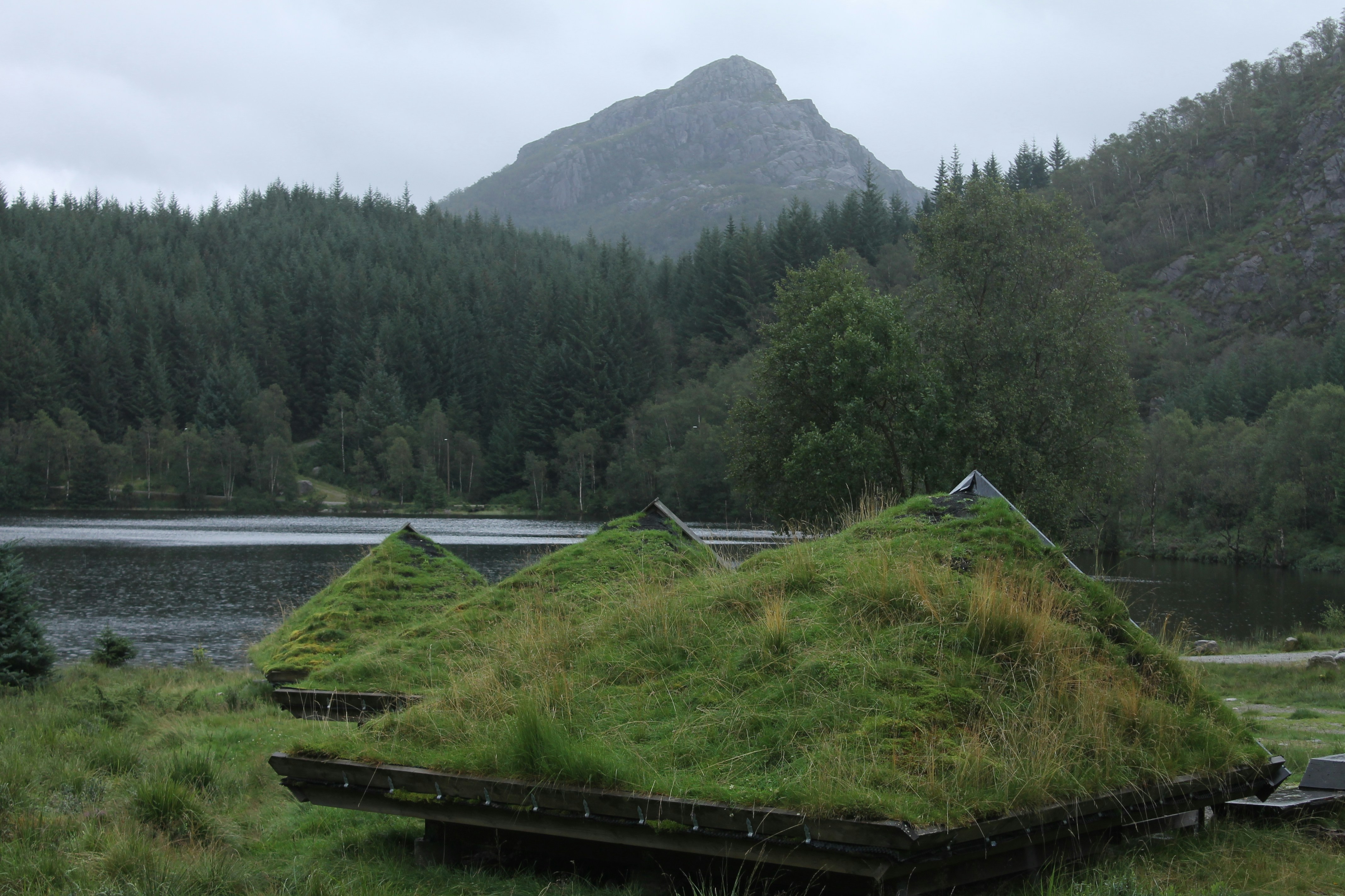 Thatched roof huts in a forest with a mountain.