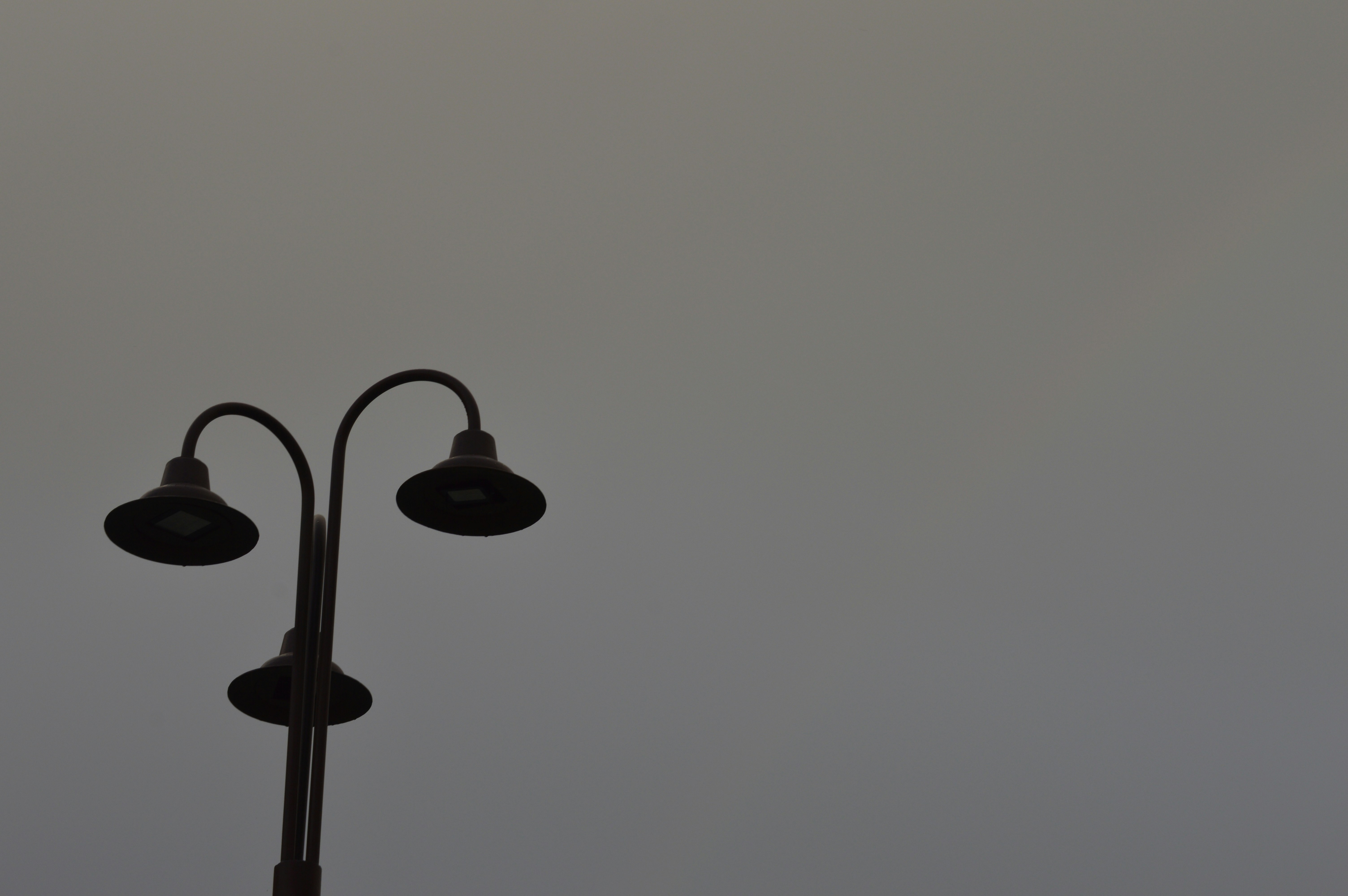 Photo by lorenzo_morenog