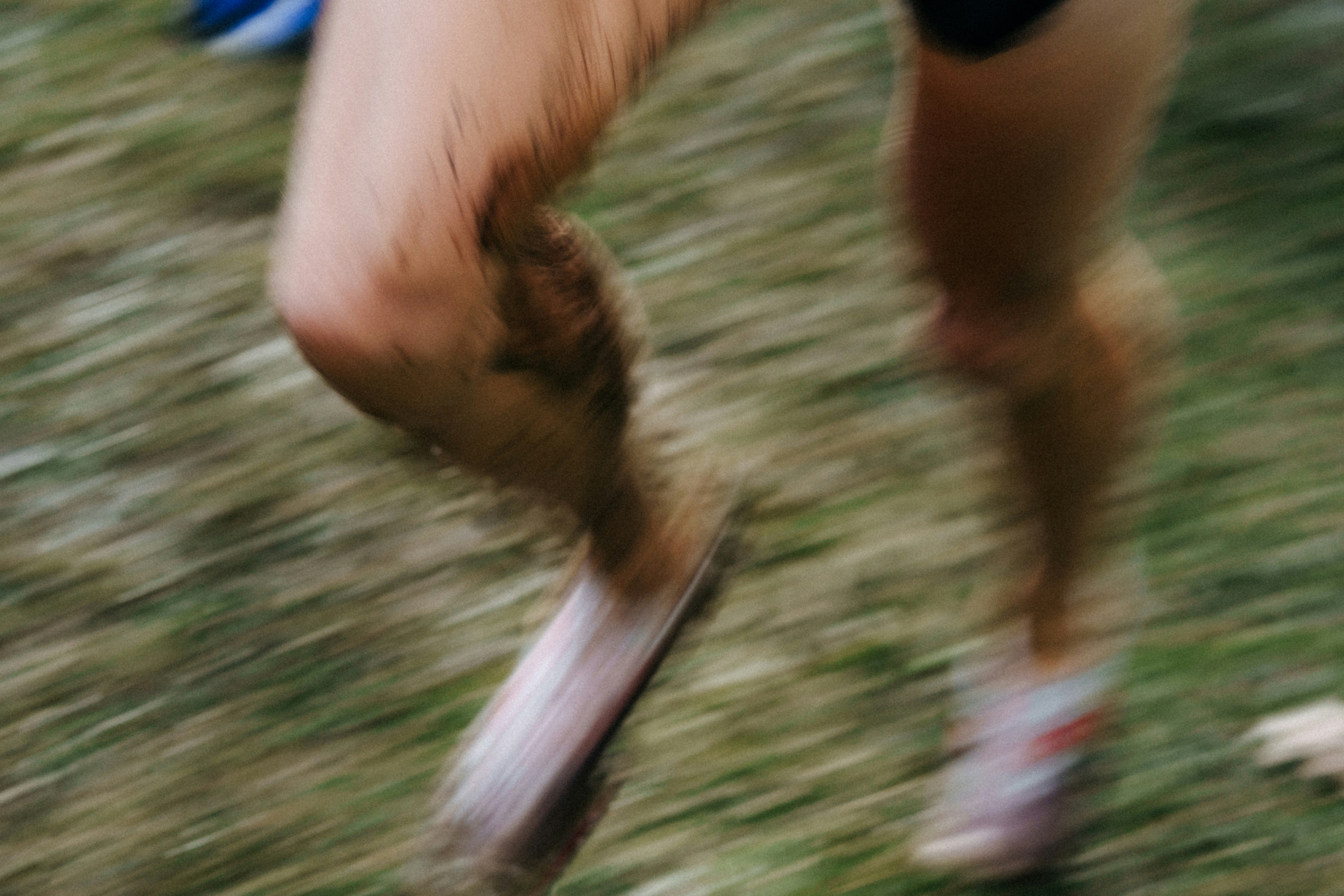 Protein for OCR Athletes: How Mud Run & Spartan Racers Recover