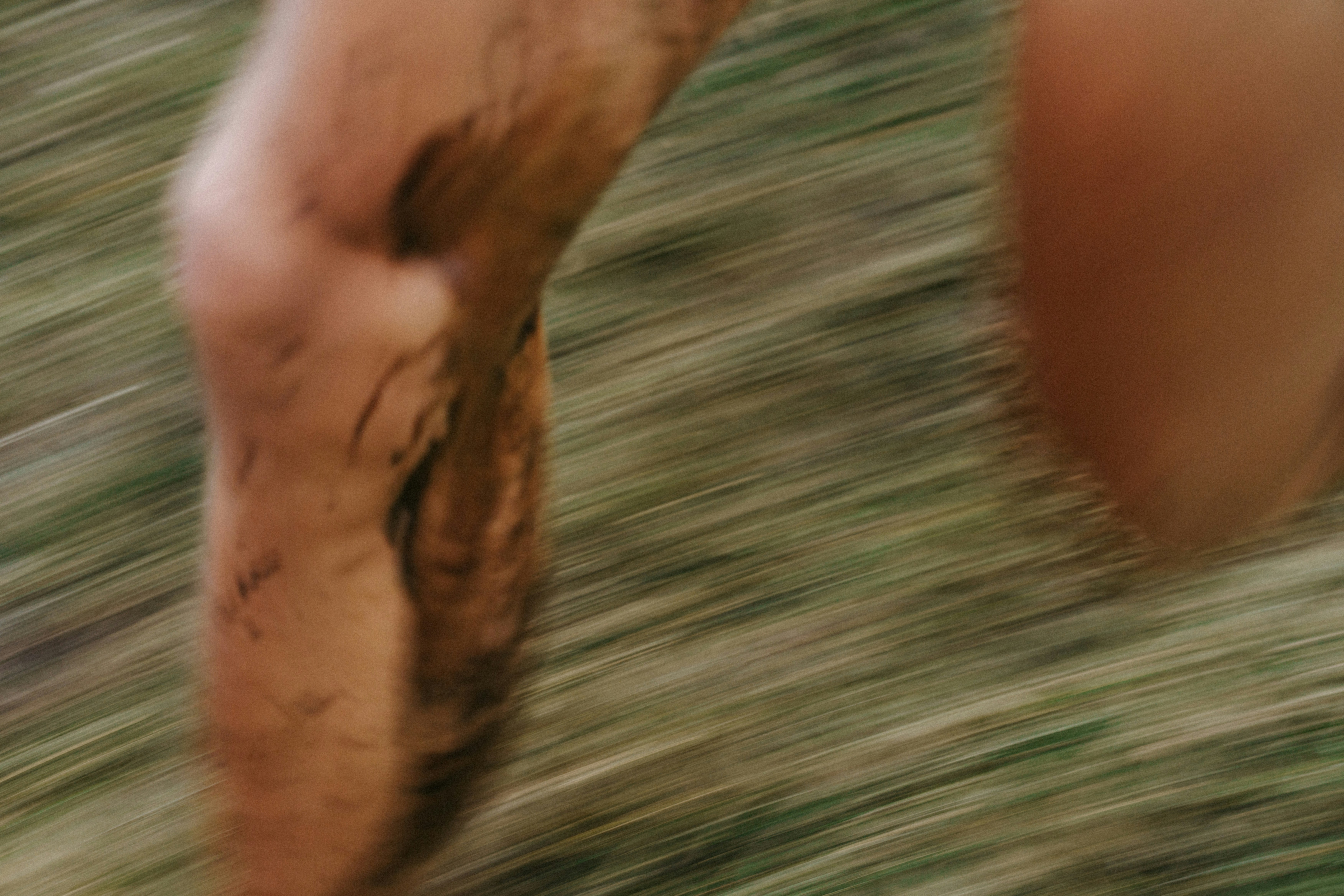 photo-1762709753410-74027ab395d4?ixid=M3wxMjA3fDB8MXxzZWFyY2h8MTR8fCVFRiVCRiVCRCVFRiVCRiVCRCVFRiVCRiVCRCVFRiVCRiVCRCVFRiVCRiVCRCVFRiVCRiVCRCUyMCU1QiVFRiVCRiVCRCVFRiVCRiVCRCVFRiVCRiVCRCVFRiVCRiVCRCVFRiVCRiVCRCVFRiVCRiVCRCVFRiVCRiVCRCVFRiVCRiVCRCVFRiVCRiVCRCVFRiVCRiVCRCVFRiVCRiVCRCVFRiVCRiVCRCUyMCVFRiVCRiVCRCVFRiVCRiVCRCVFRiVCRiVCRCVFRiVCRiVCRCVFRiVCRiVCRCVFRiVCRiVCRCUyMCVFRiVCRiVCRCVFRiVCRiVCRCVFRiVCRiVCRCVFRiVCRiVCRCVFRiVCRiVCRCVFRiVCRiVCRCVFRiVCRiVCRCVFRiVCRiVCRCVFRiVCRiVCRCUyMCVFRiVCRiVCRCVFRiVCRiVCRCVFRiVCRiVCRCVFRiVCRiVCRCVFRiVCRiVCRCVFRiVCRiVCRCVFRiVCRiVCRCVFRiVCRiVCRCVFRiVCRiVCRCVFRiVCRiVCRCVFRiVCRiVCRCVFRiVCRiVCRCU1RHxlbnwwfHx8fDE3Njg4NDk5OTl8MA\u0026ixlib=rb-4.1.0