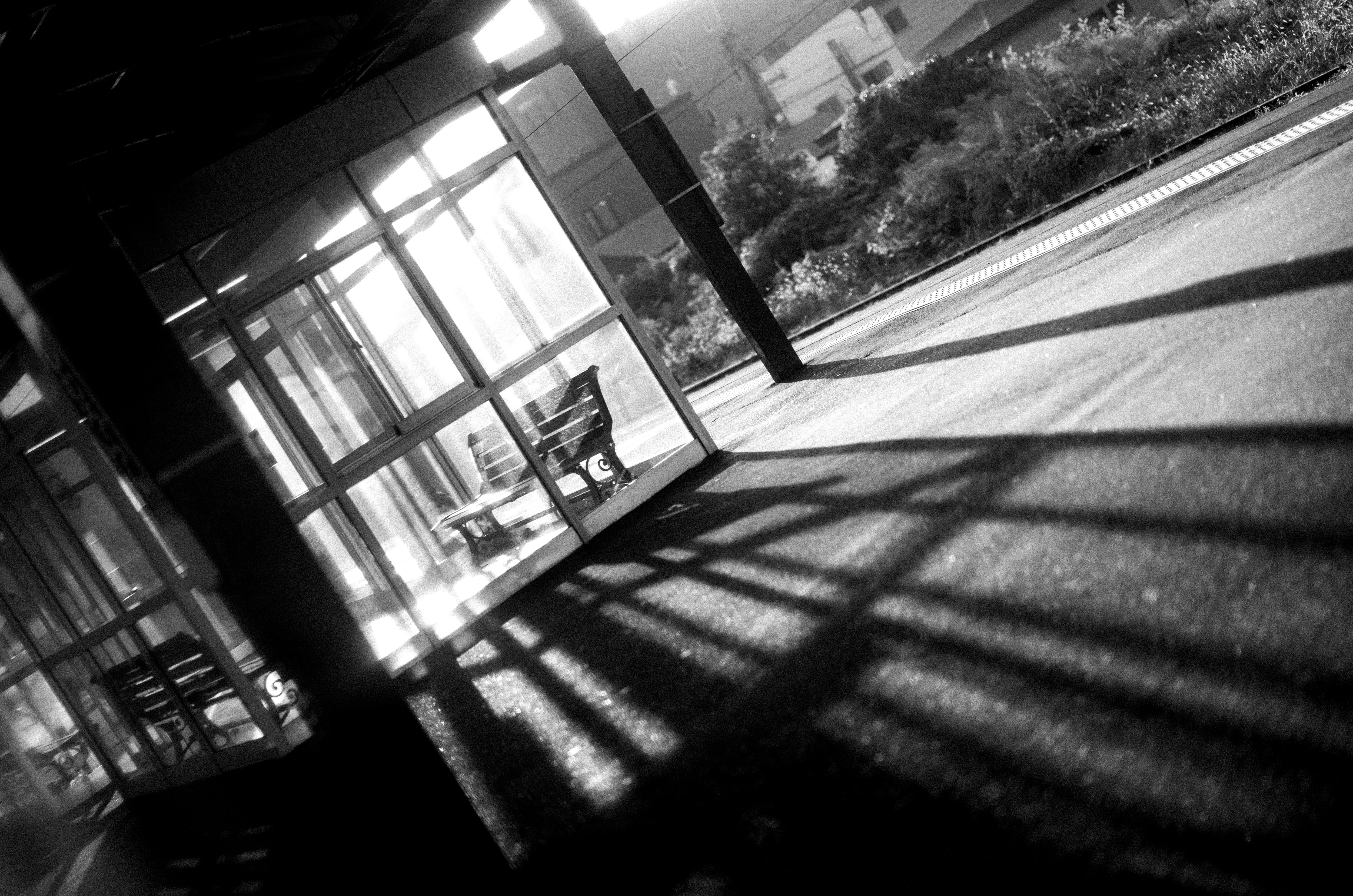 Sunlight streams through a window, casting shadows.