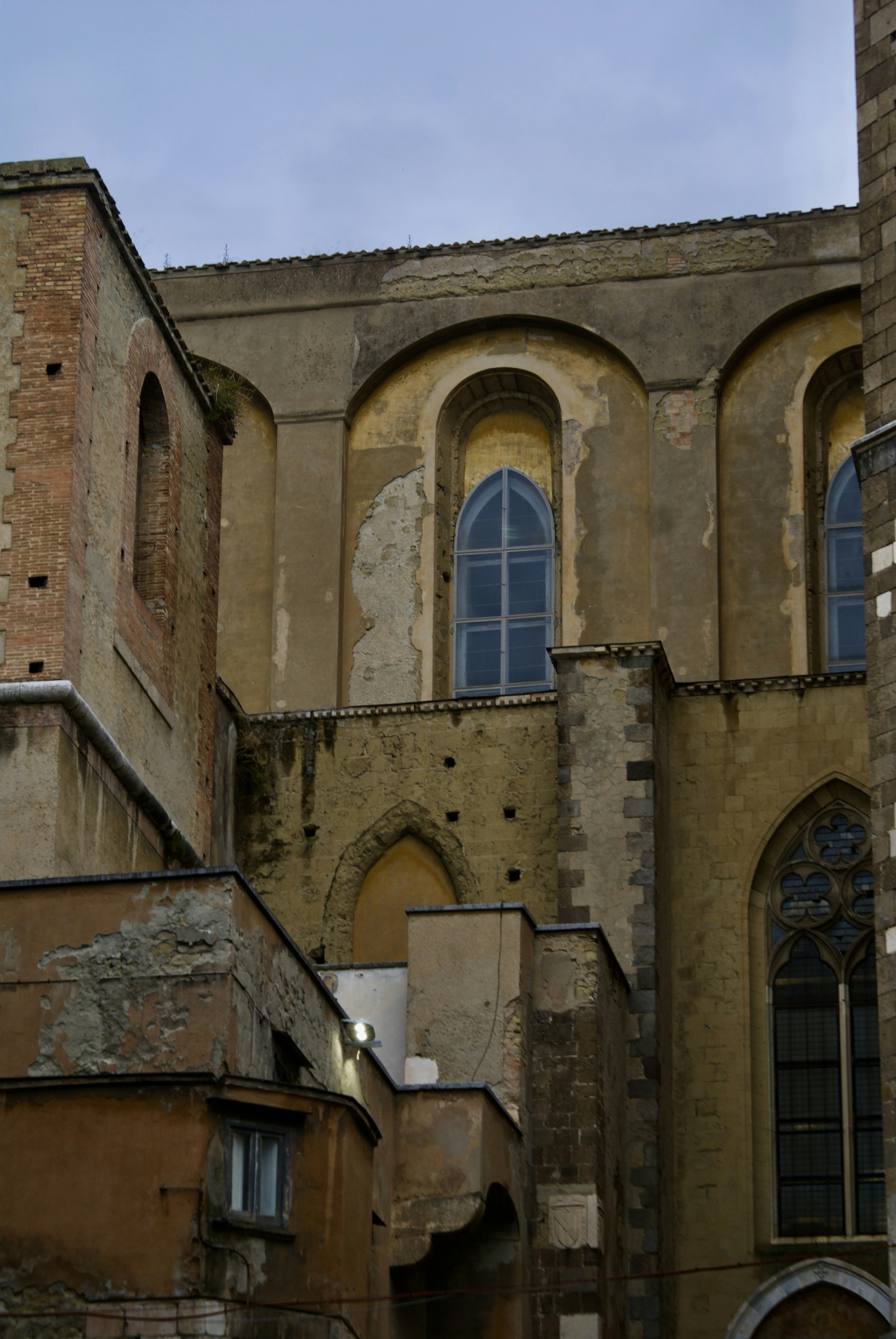 Photo by apaturairis