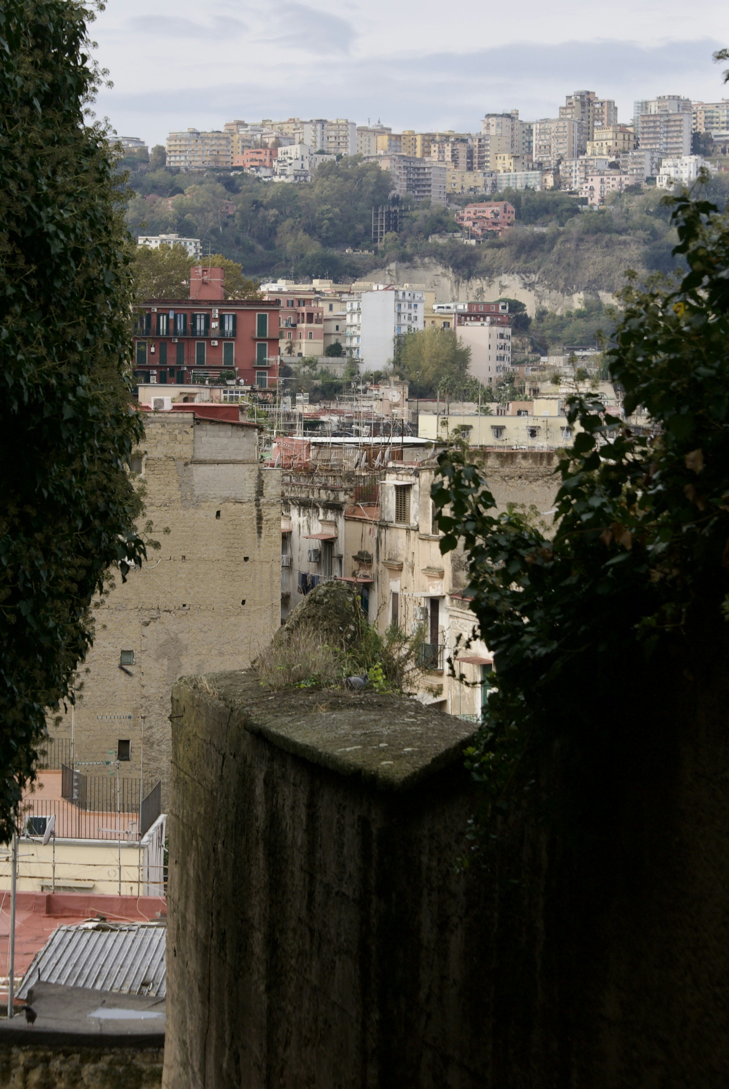View of buildings on a hillside with trees.