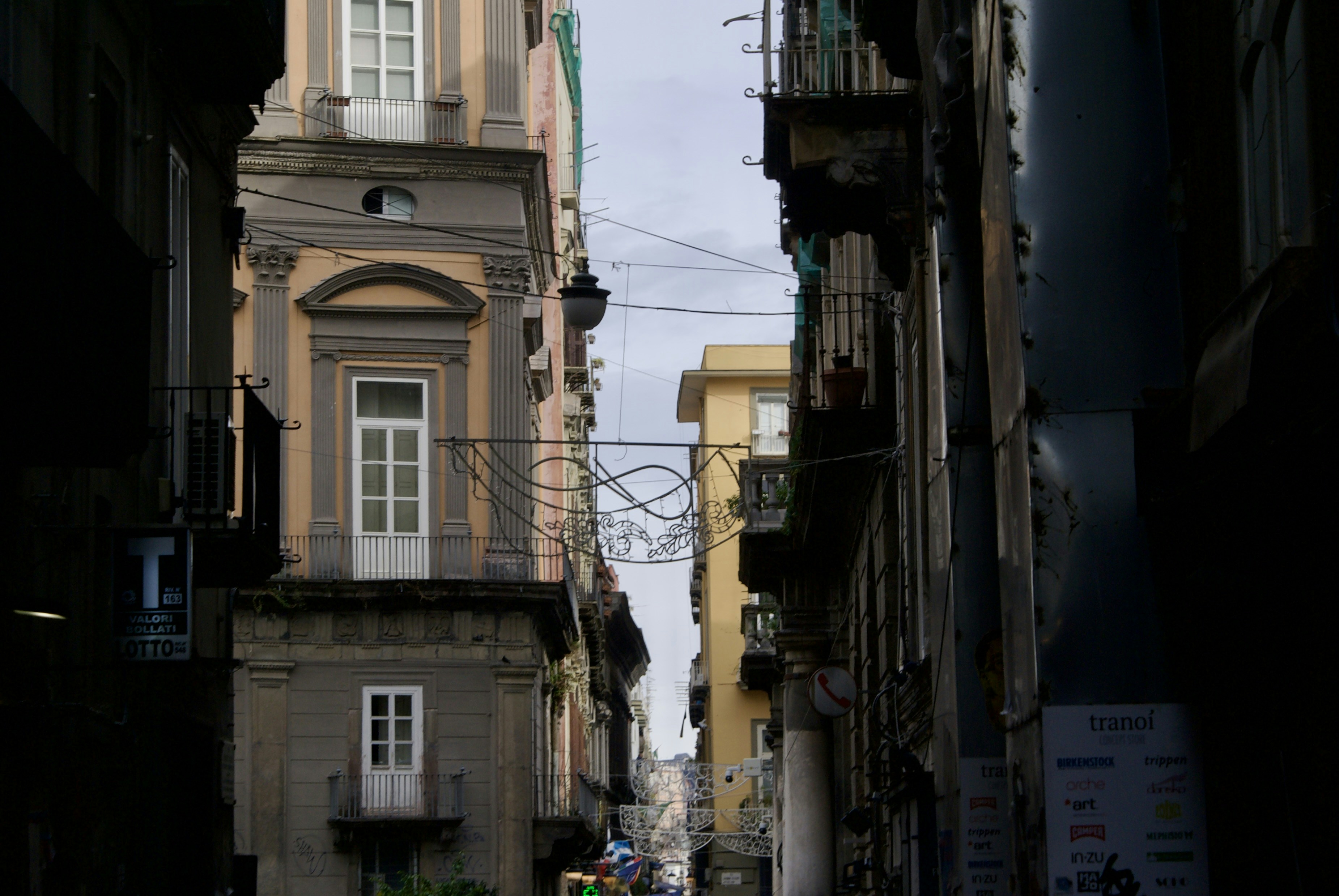 Photo by apaturairis