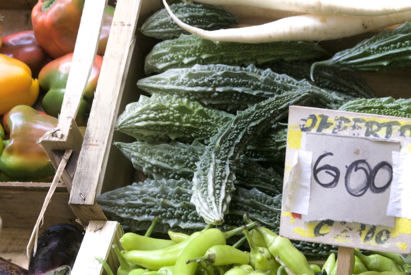 Bitter melon + vegetables