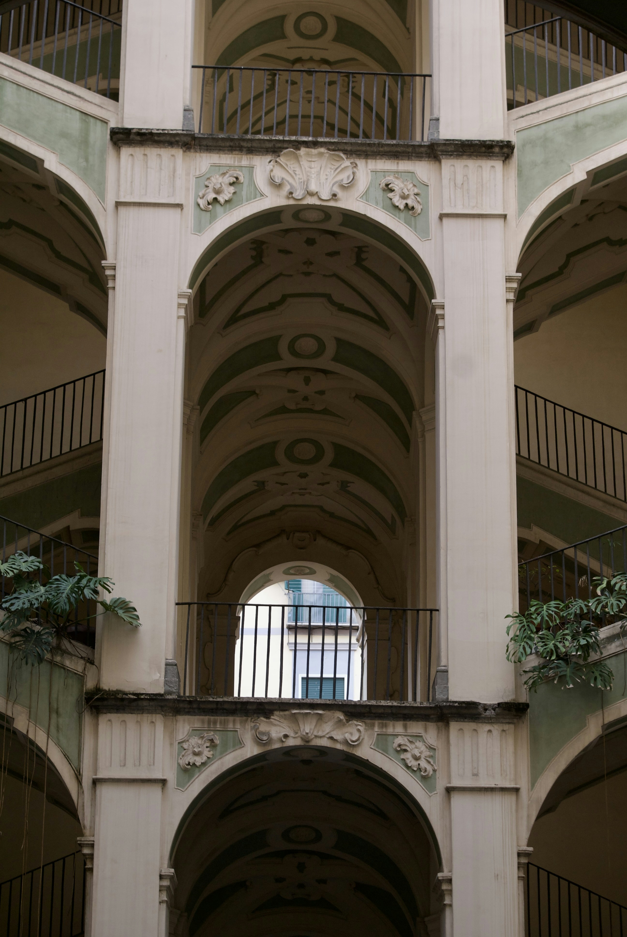 Photo by apaturairis