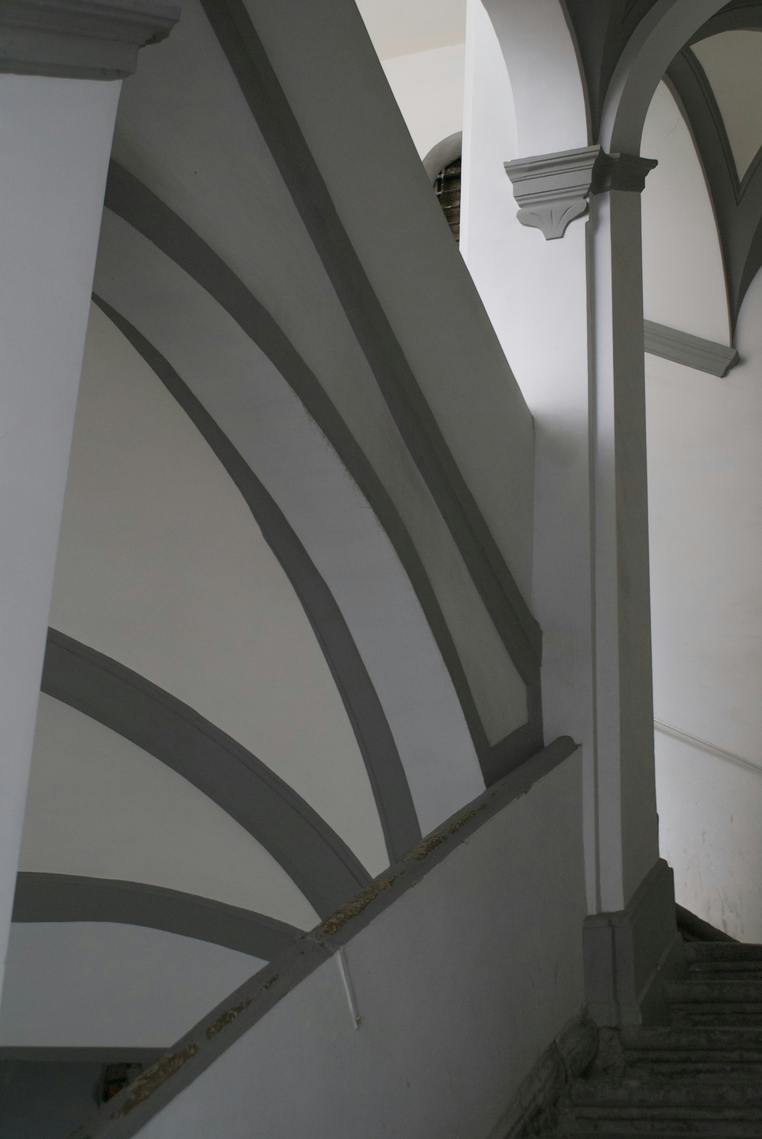 Photo by apaturairis