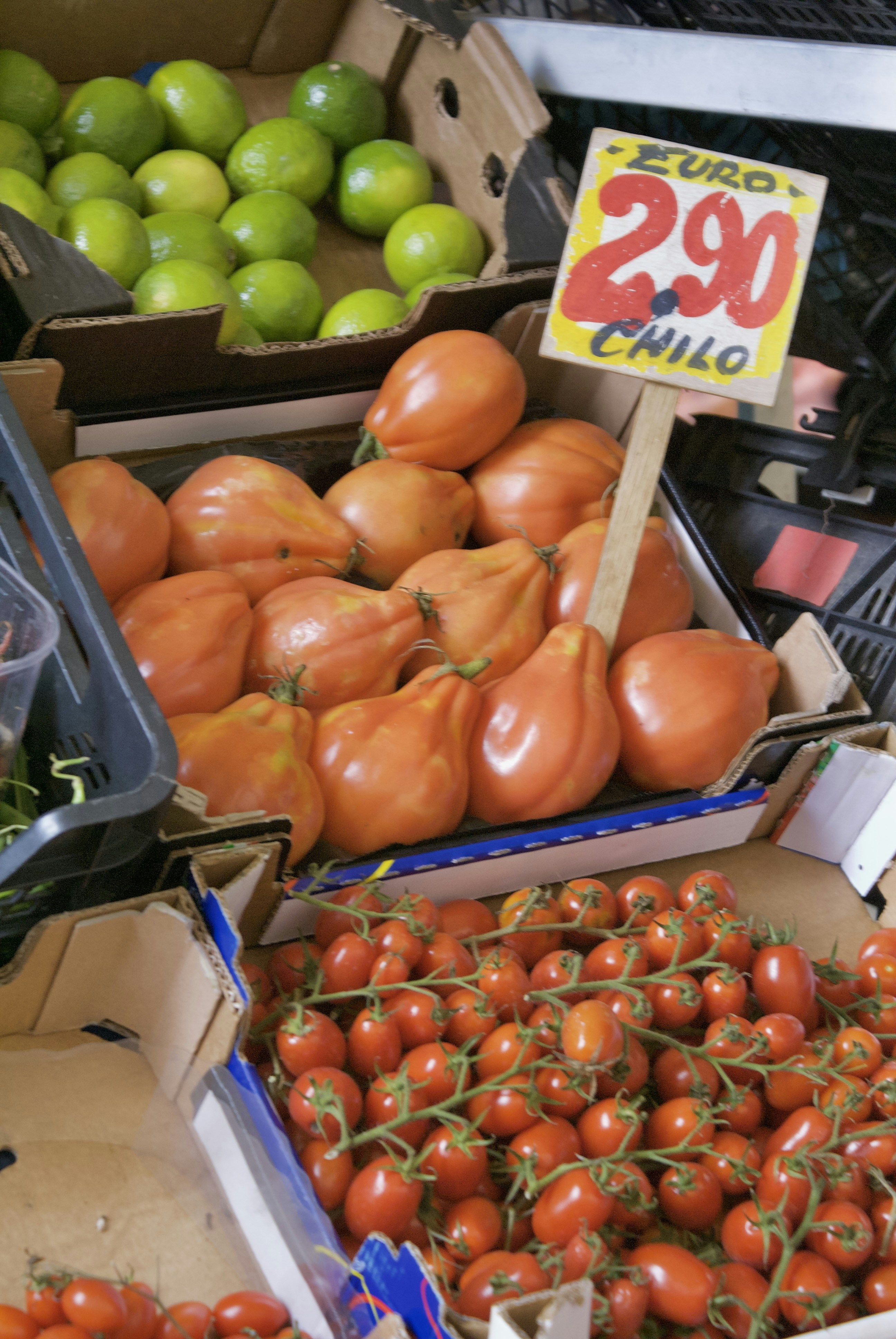 Photo by apaturairis