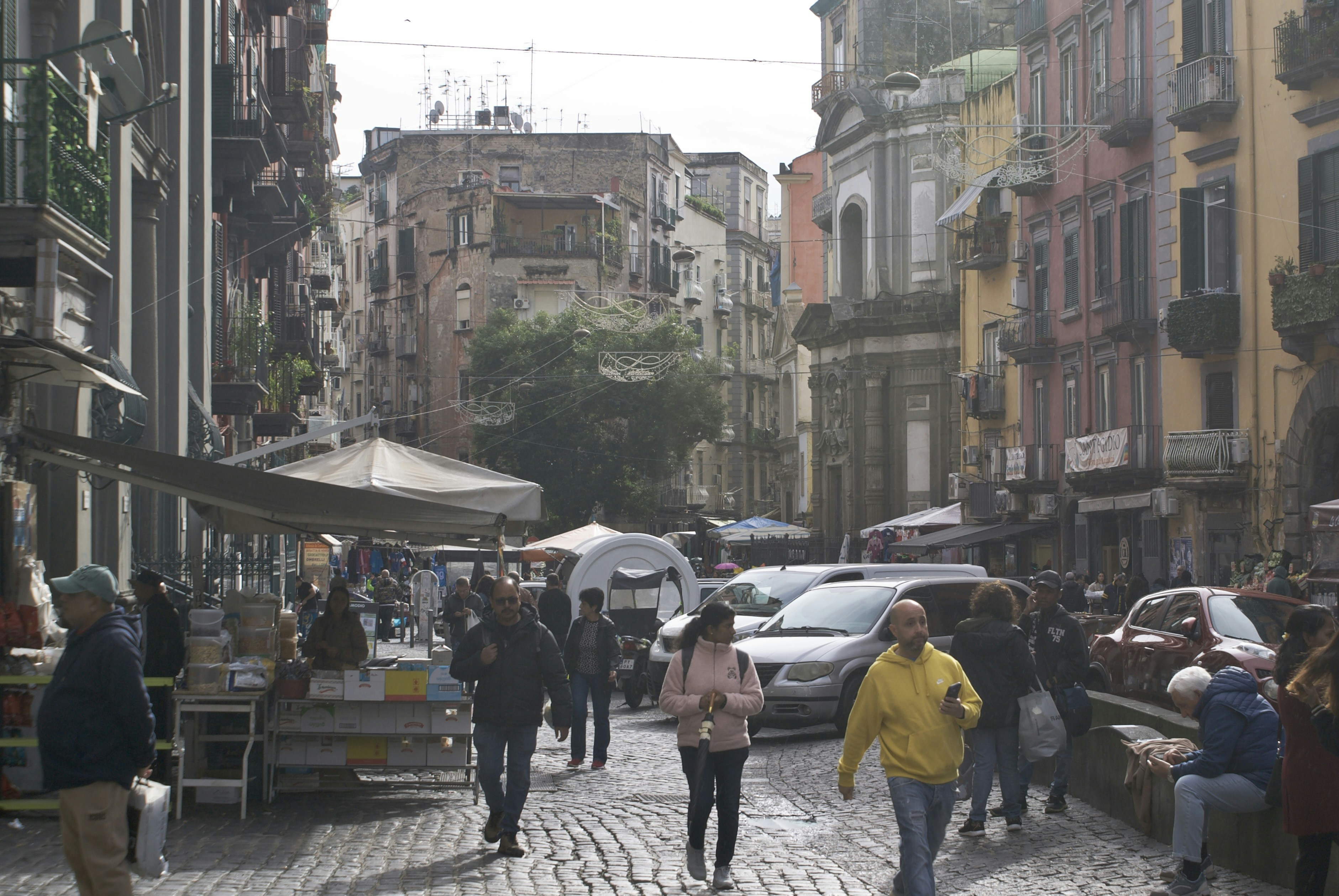 Photo by apaturairis