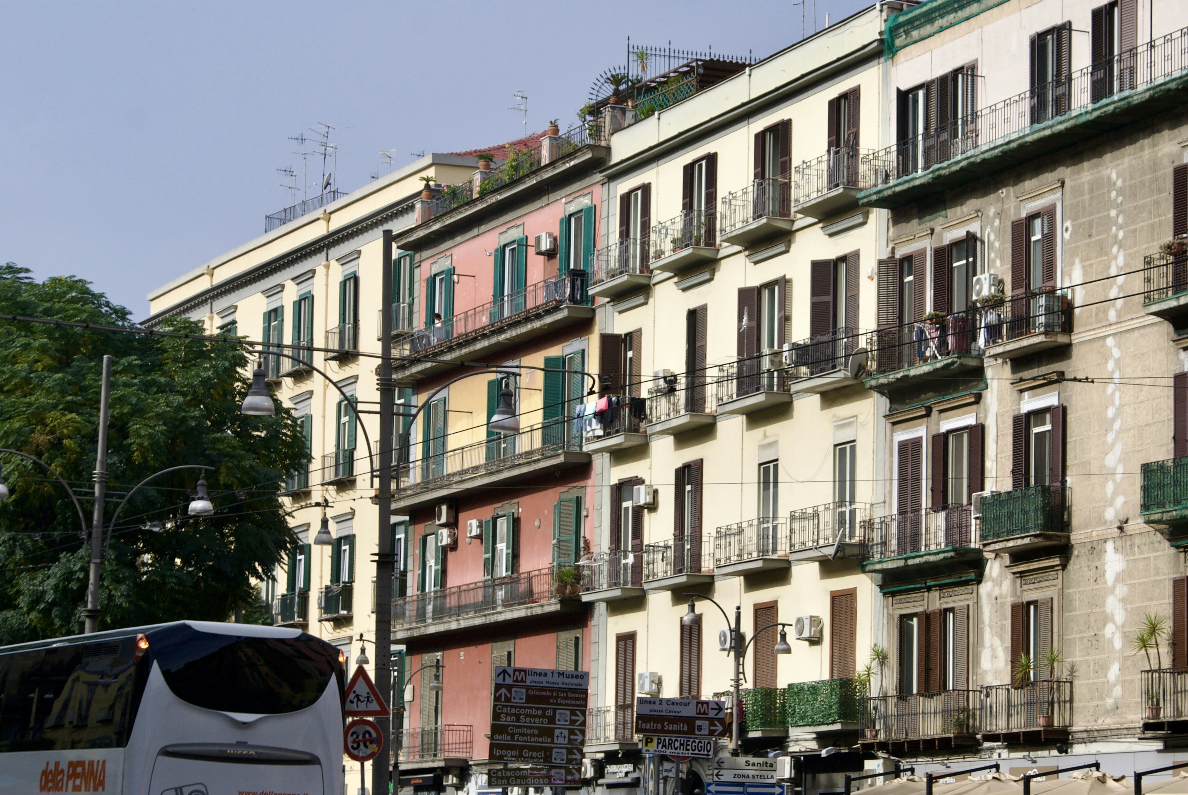 Photo by apaturairis