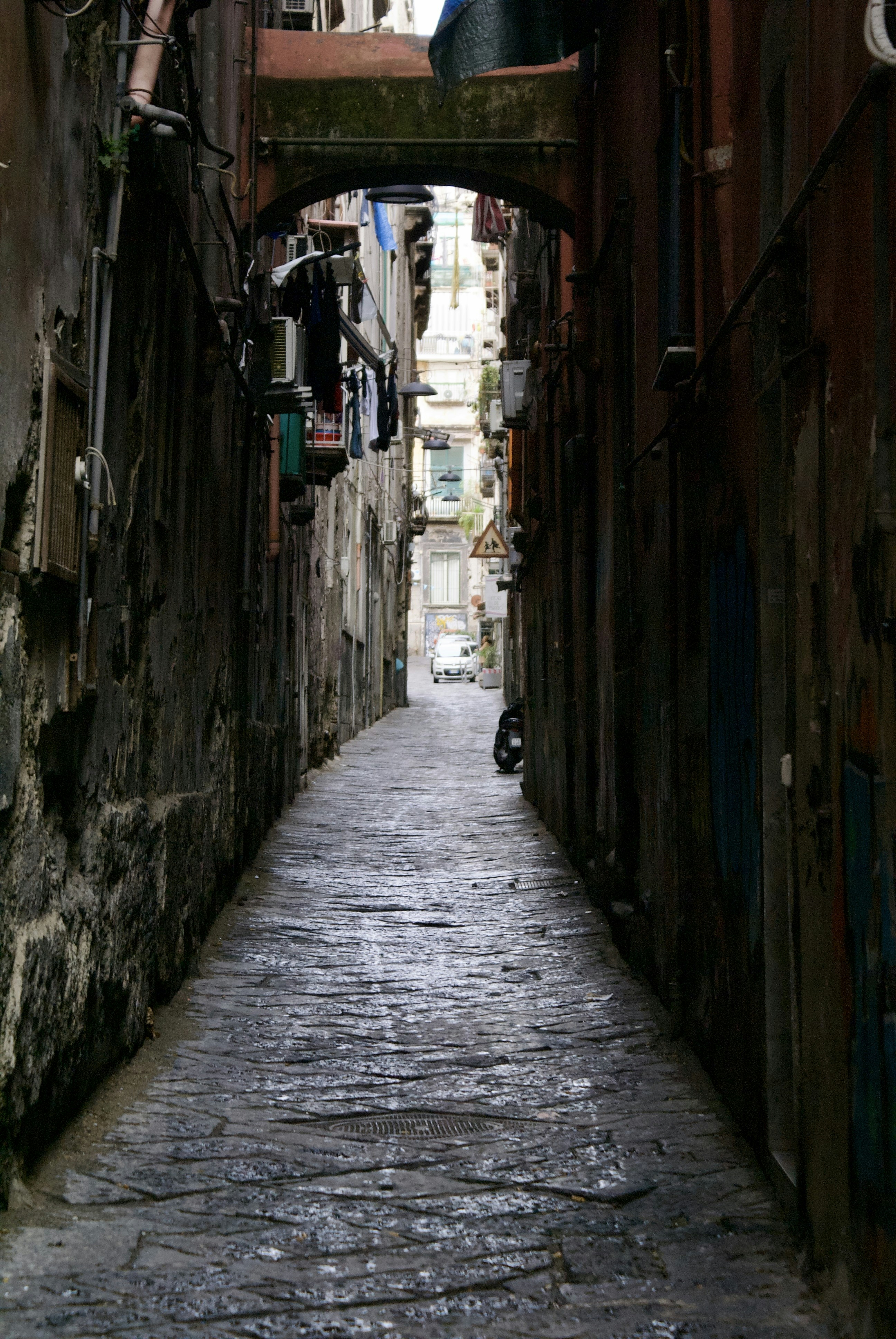 Photo by apaturairis