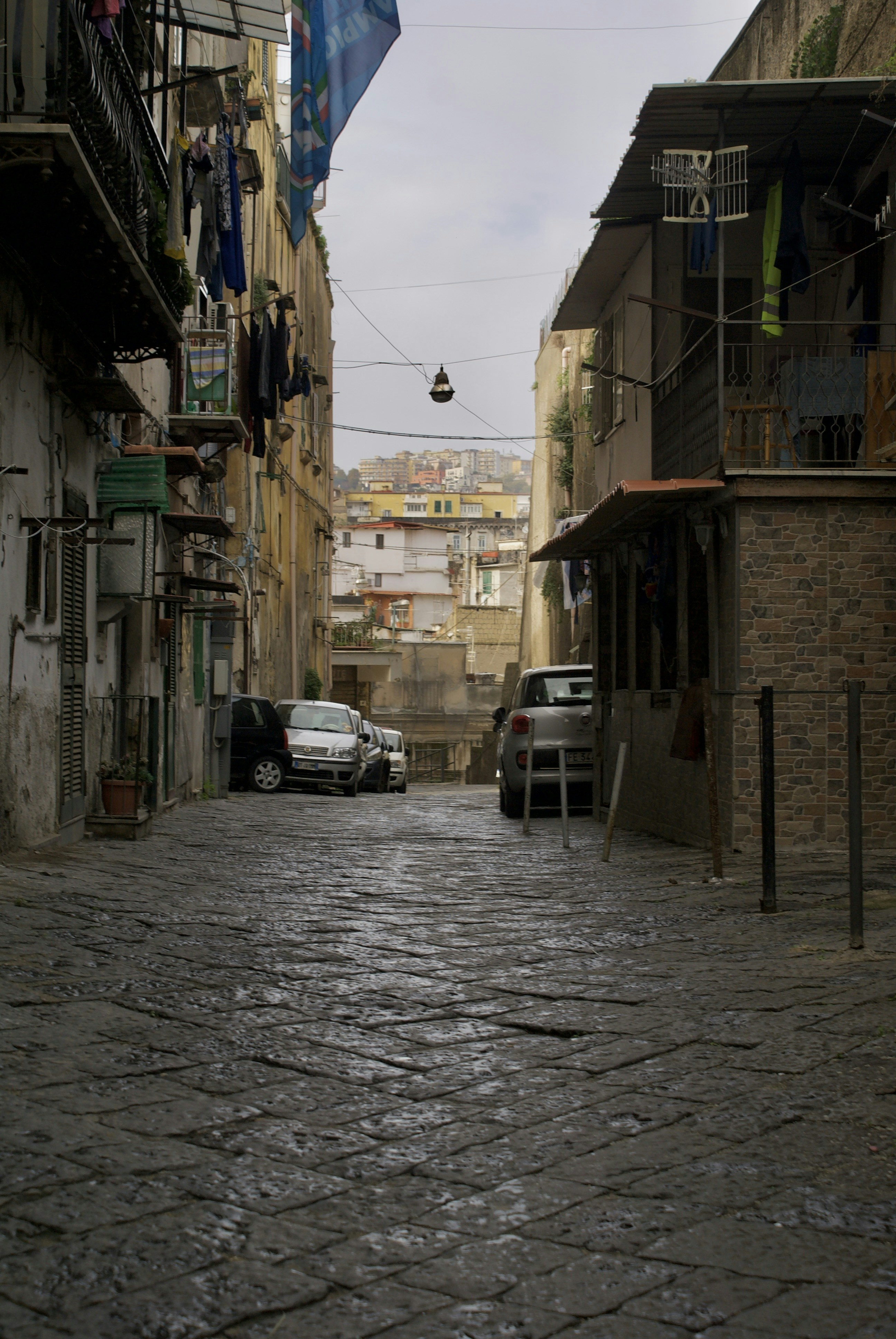 Photo by apaturairis