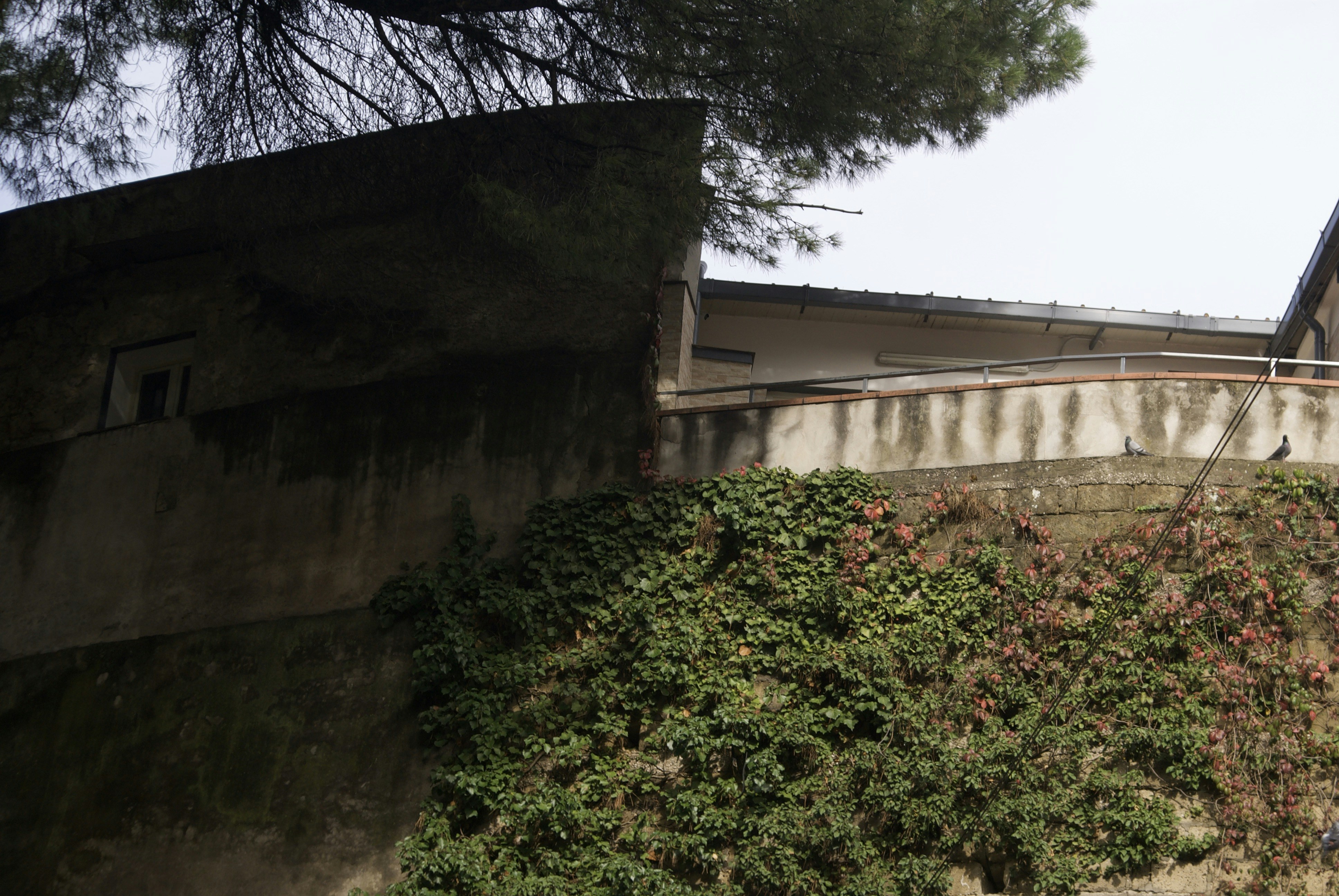 A weathered stone wall covered in green ivy.