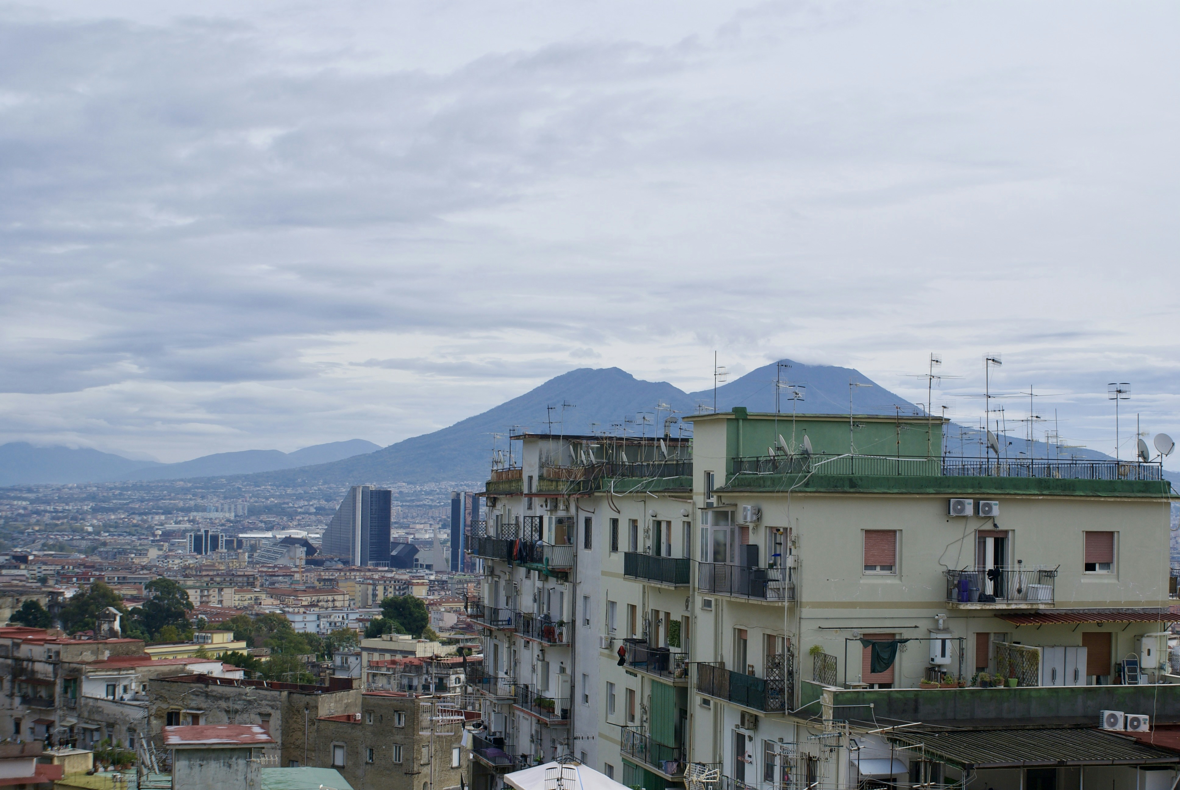 Photo by apaturairis