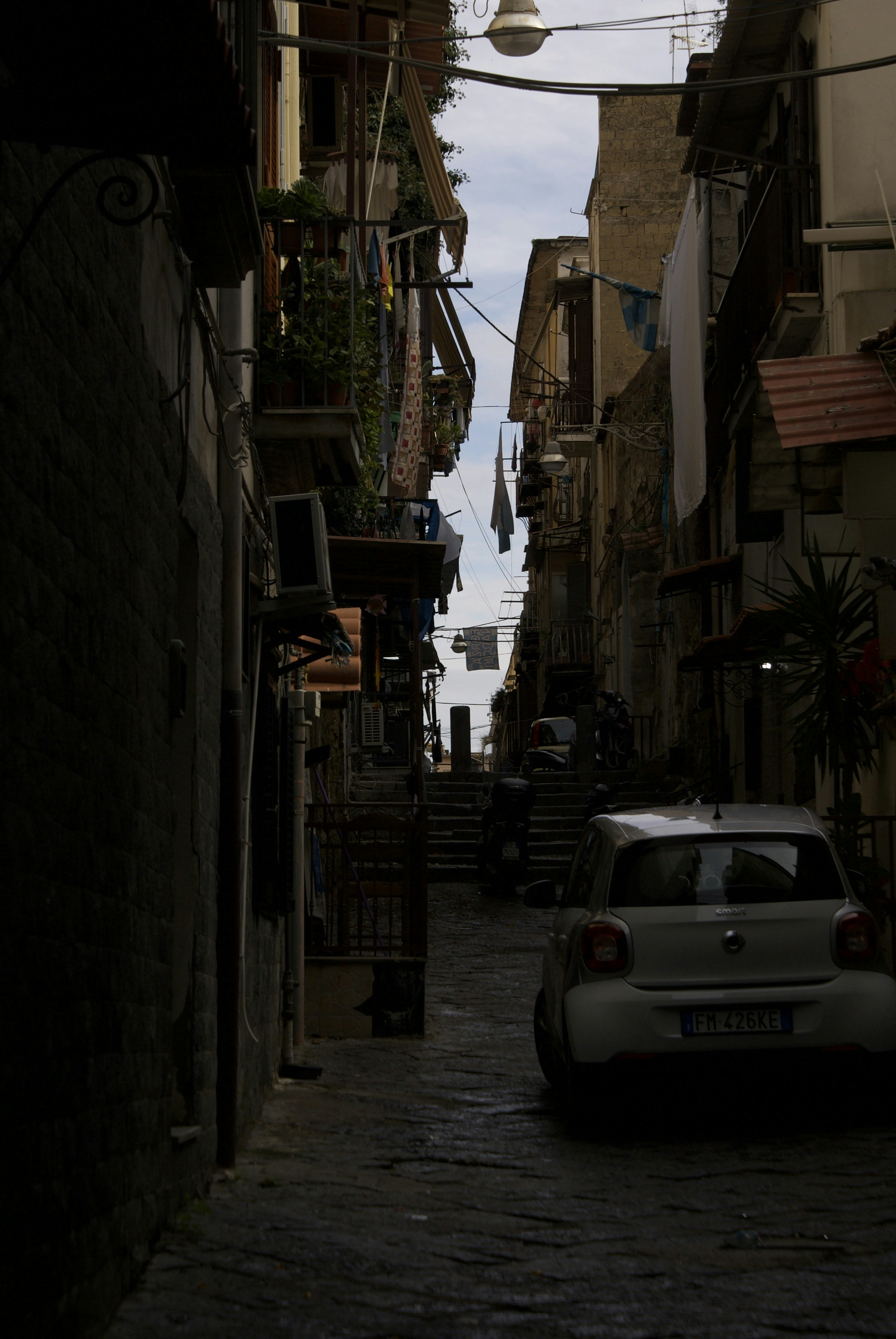 Photo by apaturairis