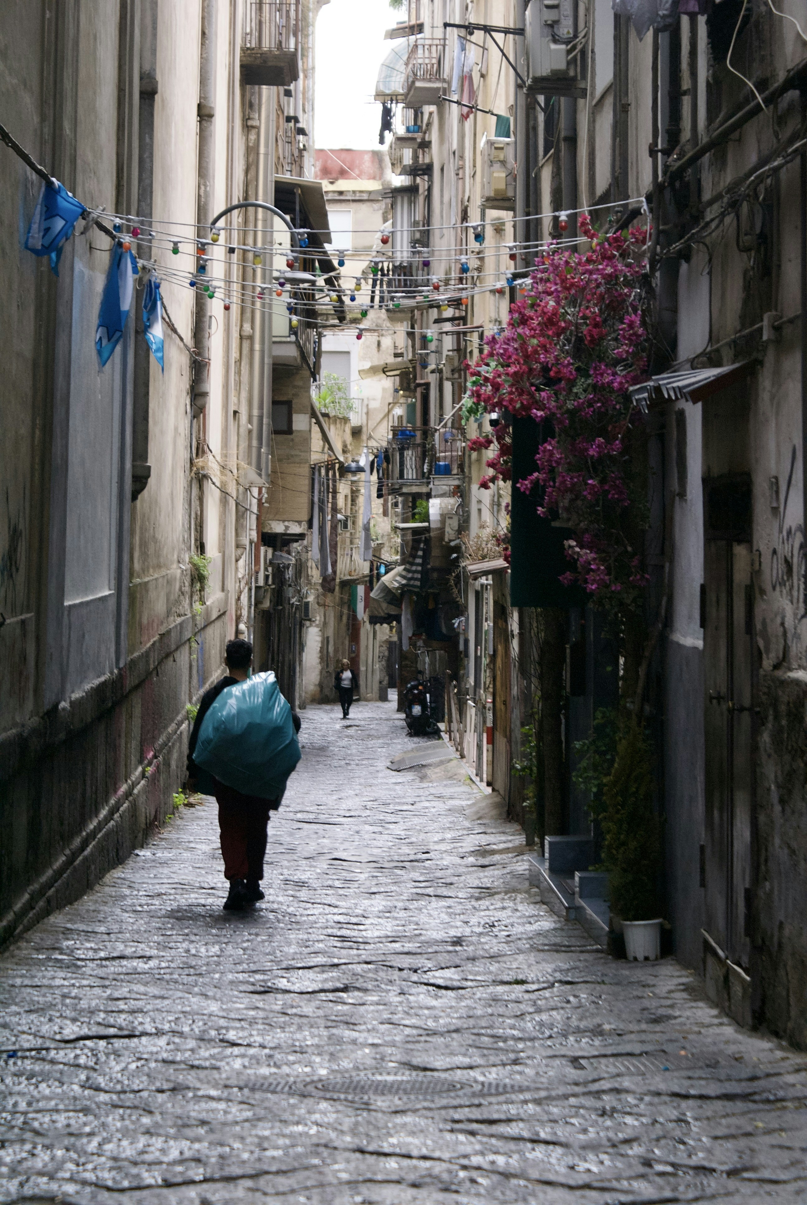 Photo by apaturairis