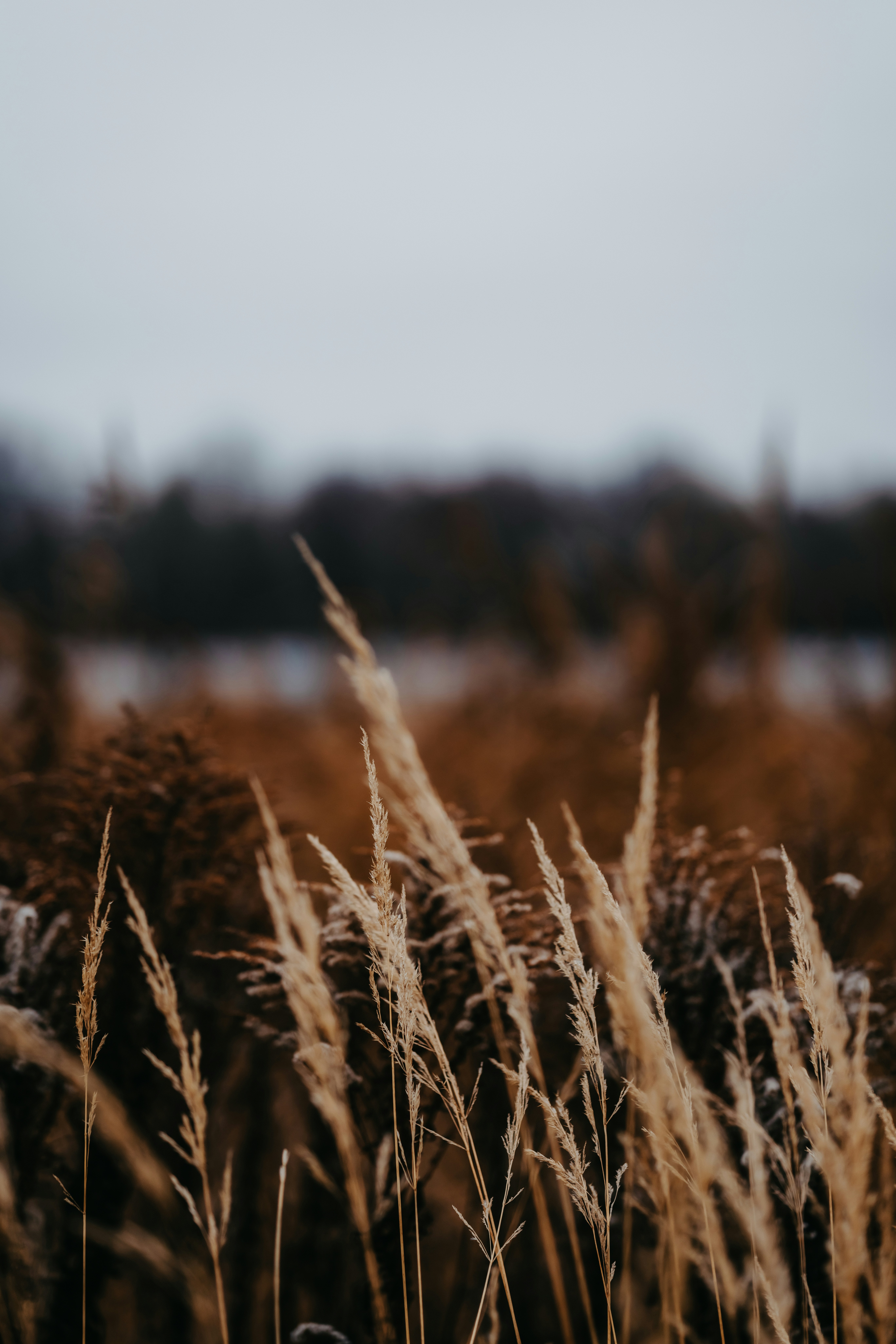 Photo by kristapsungurs