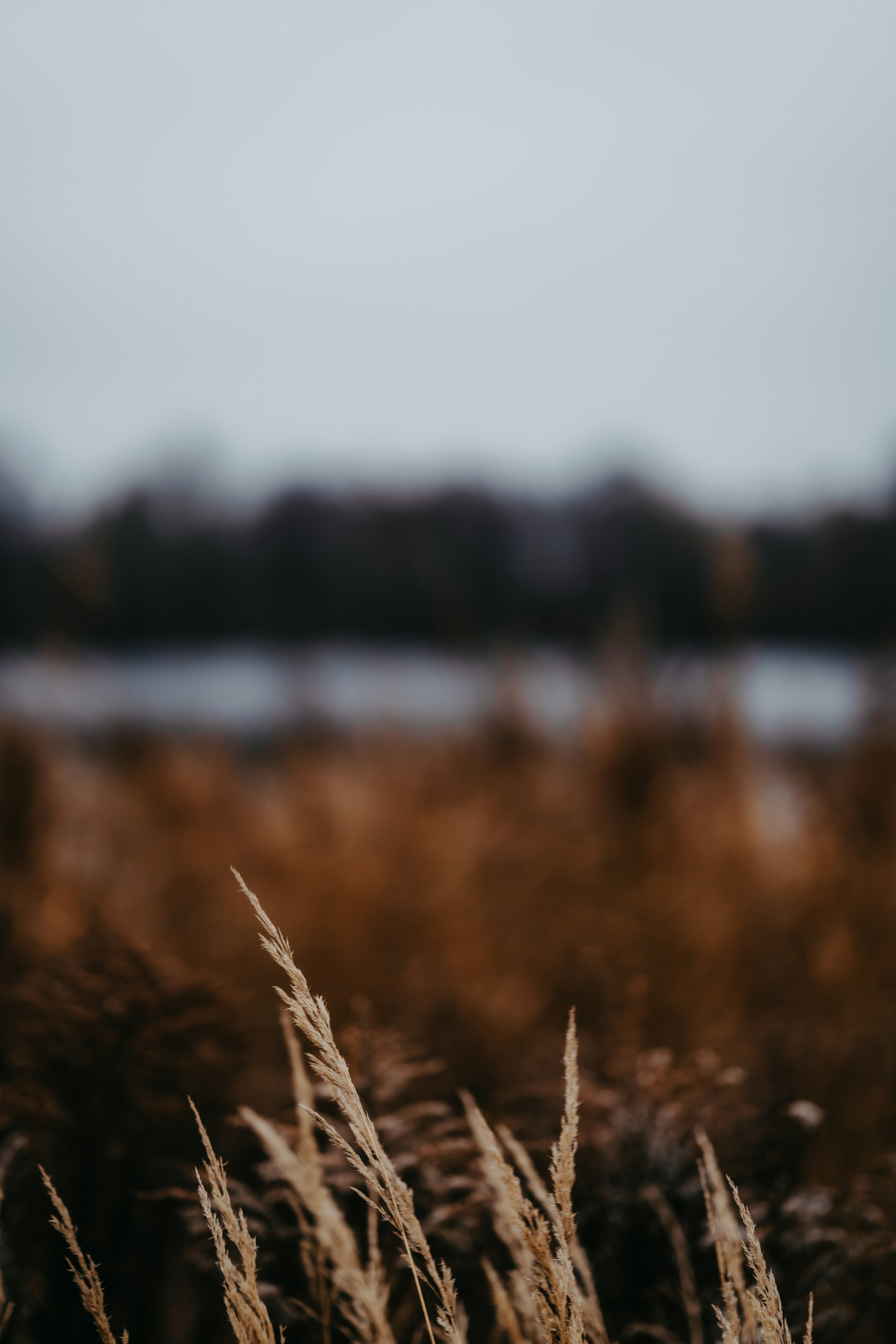 Photo by kristapsungurs