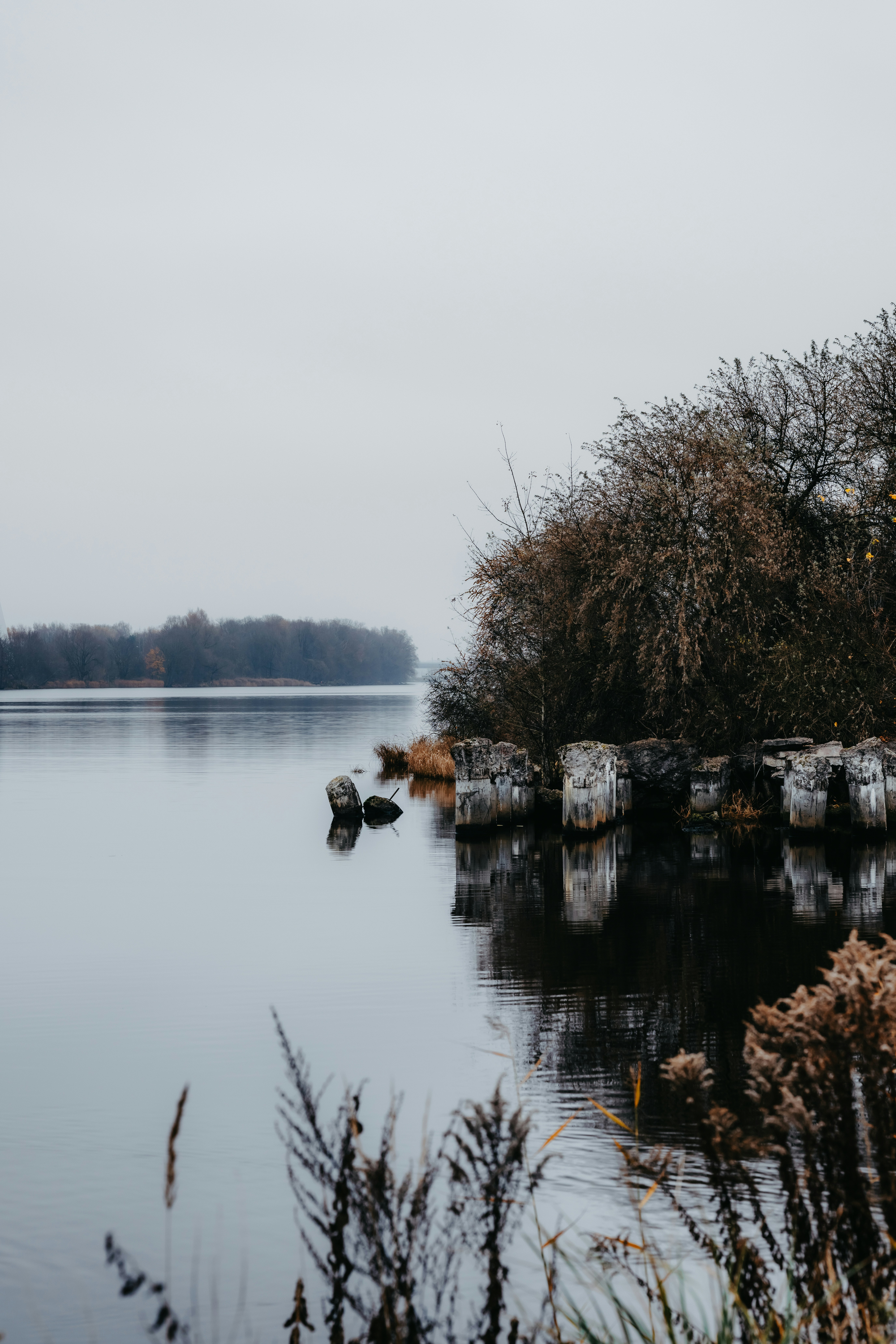 Photo by kristapsungurs